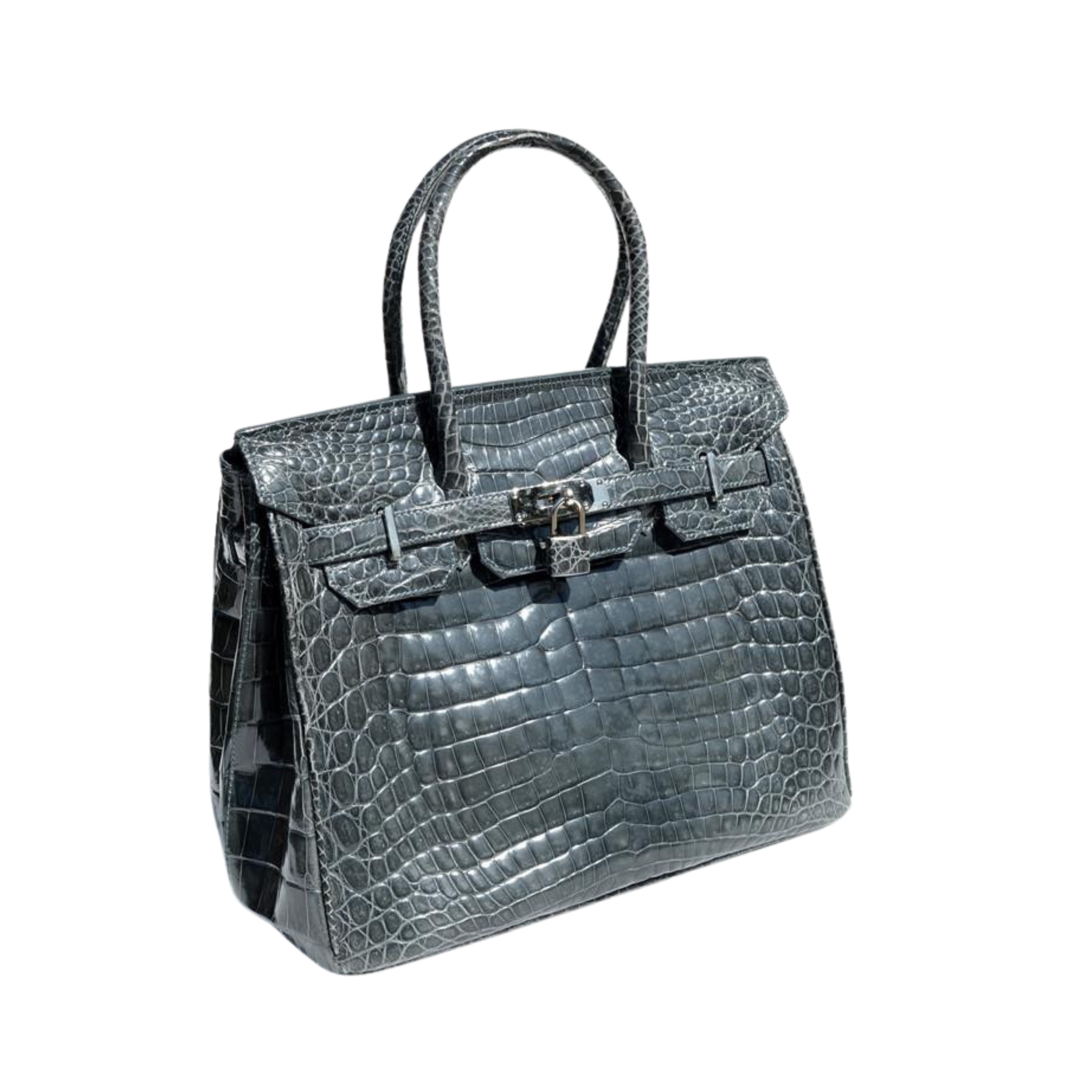 Hermès Bag | Birkin 25 Black Matte Alligator