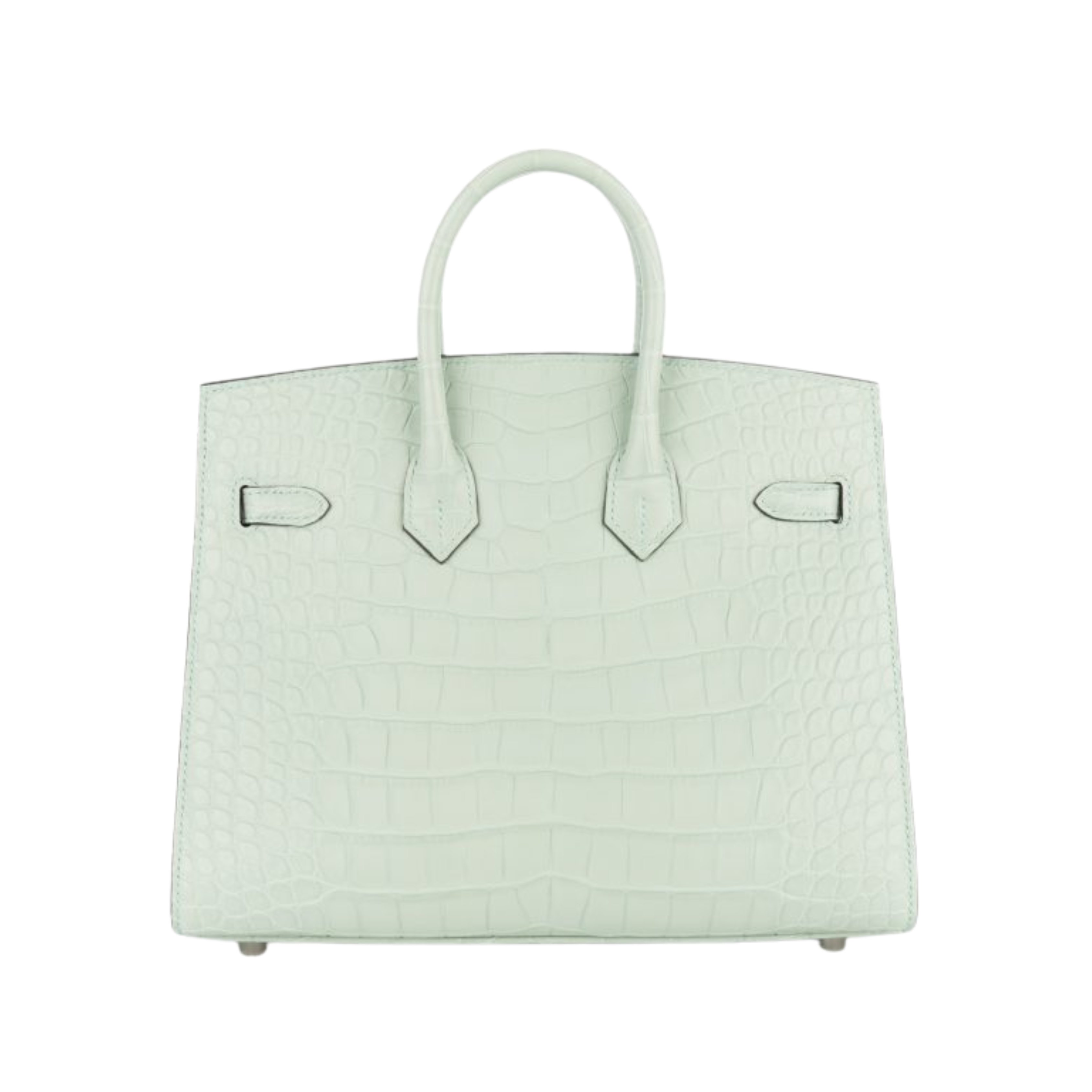 Hermès Bag | Birkin 25 Matte Alligator