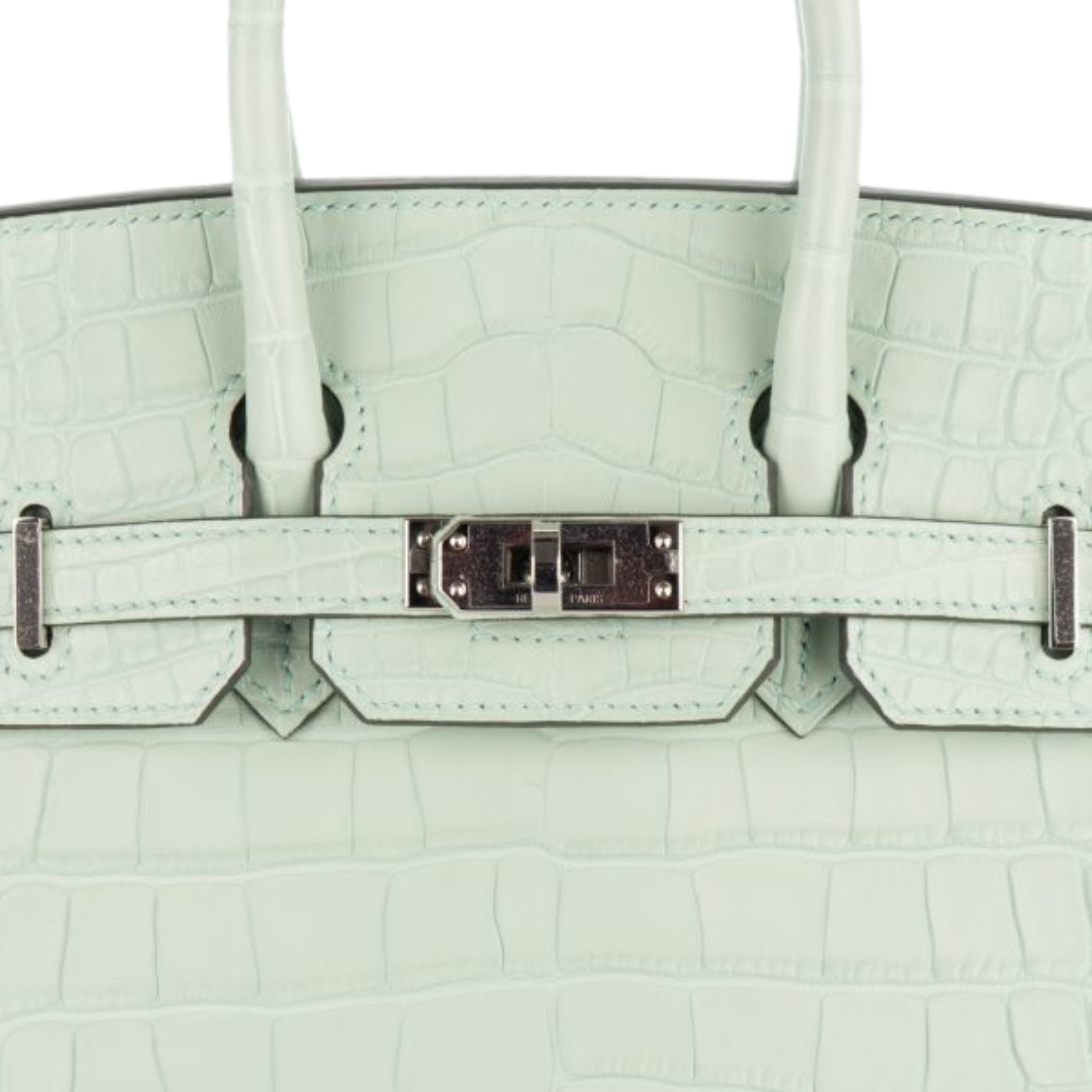 Hermès Bag | Birkin 25 Matte Alligator