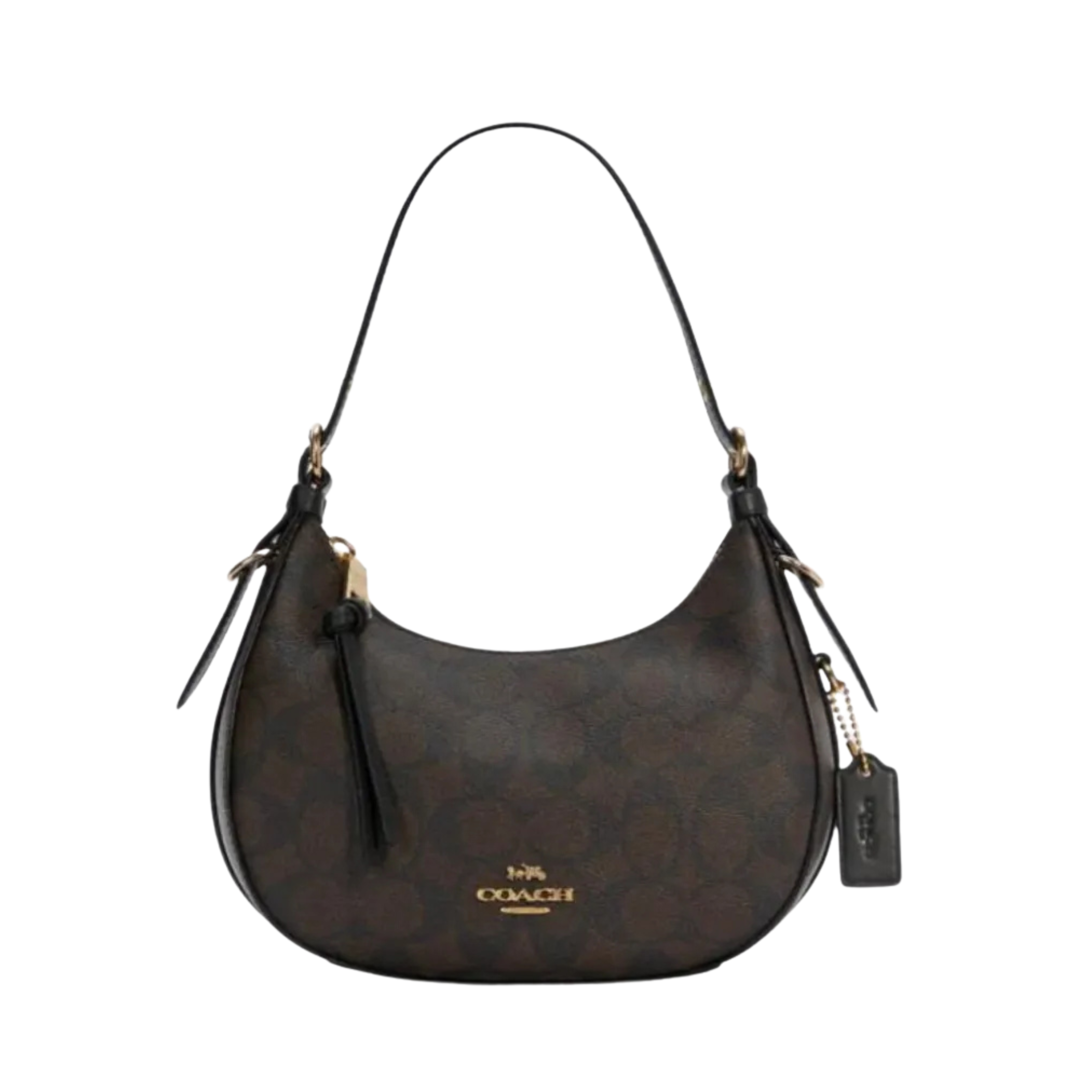 Coach Bag | Kleo Hobo Signature Canvas Chestnut Beige