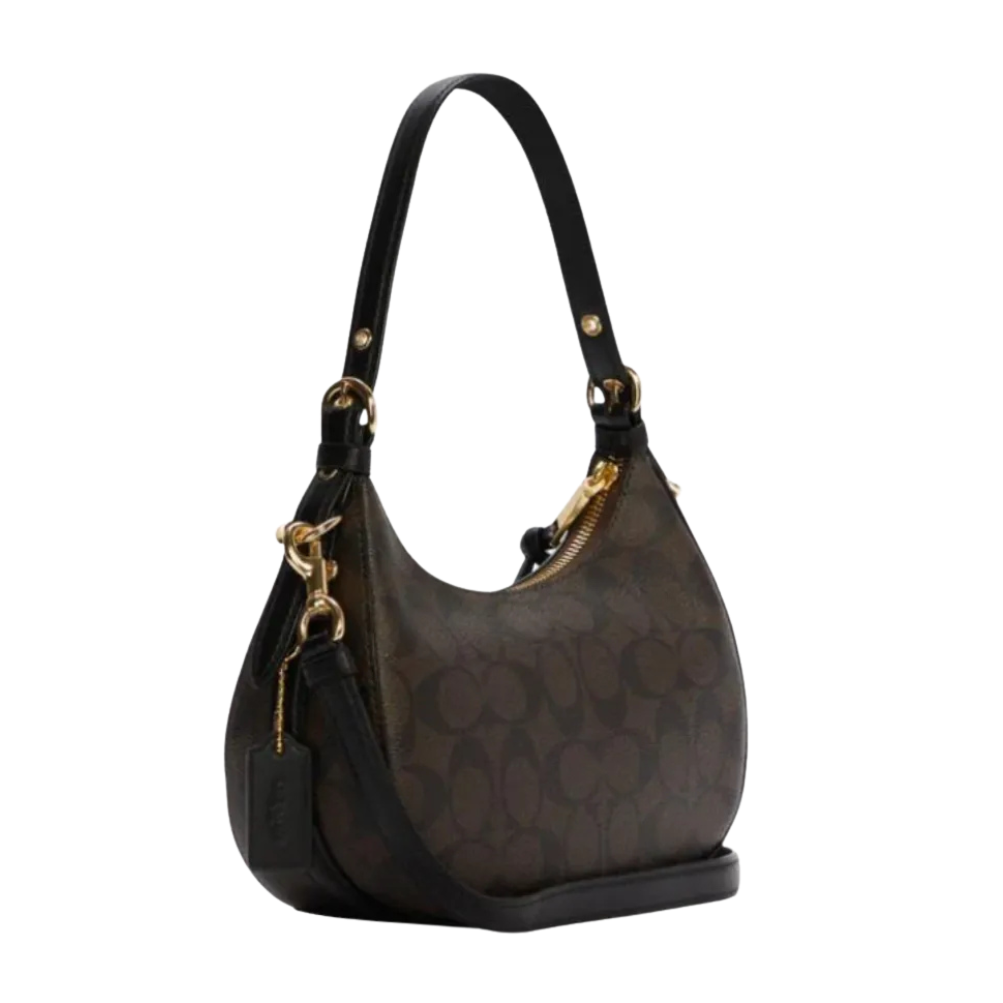 Coach Bag | Kleo Hobo Signature Canvas Chestnut Beige