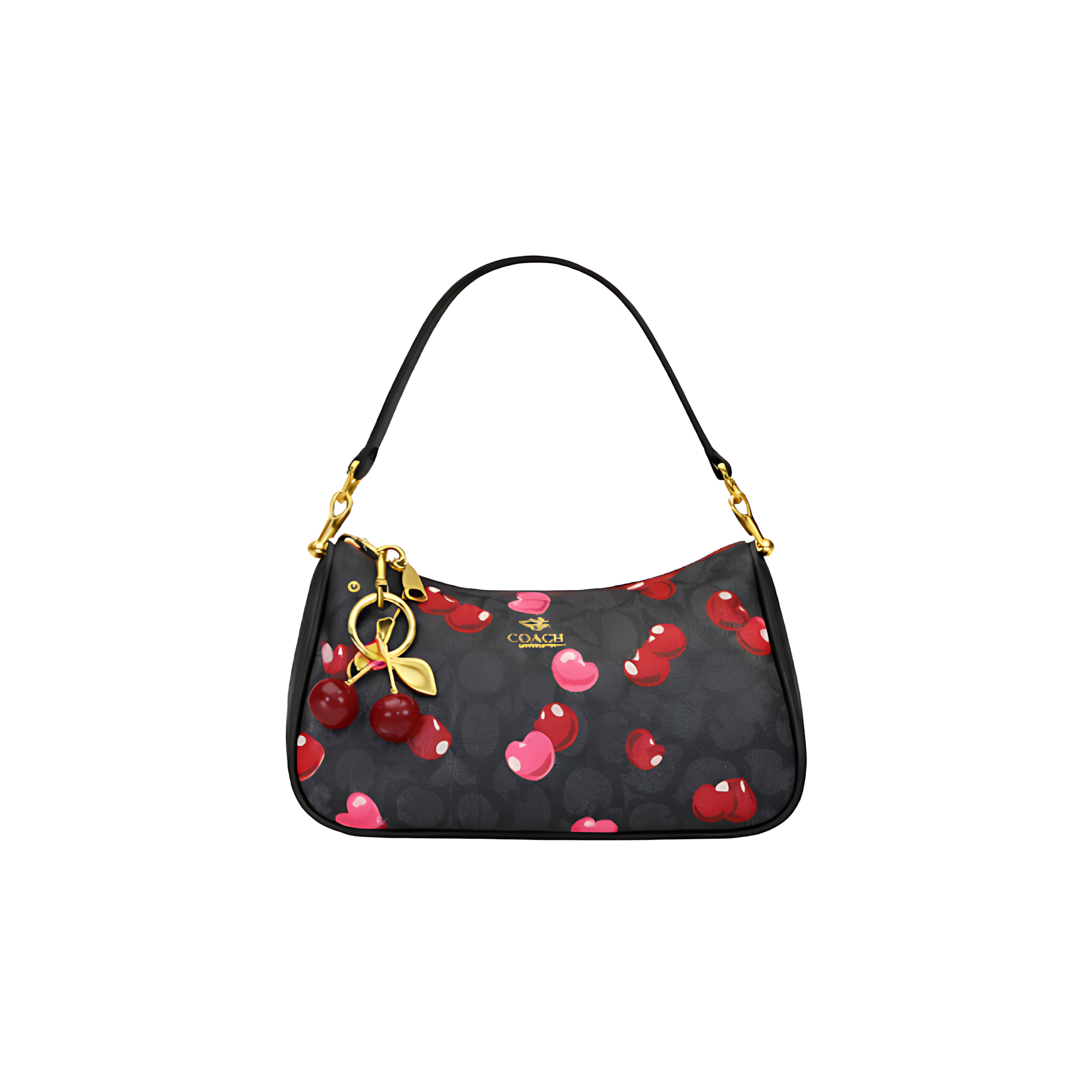 Coach Bag | Teri Shoulder Signature Canvas