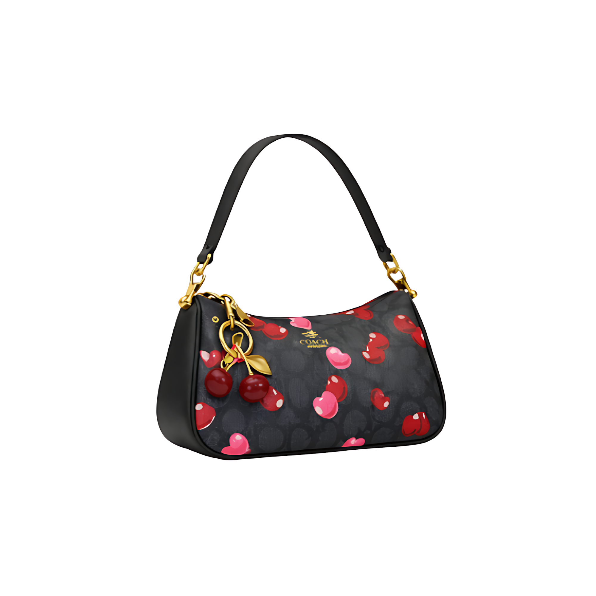 Coach Bag | Teri Shoulder Signature Canvas