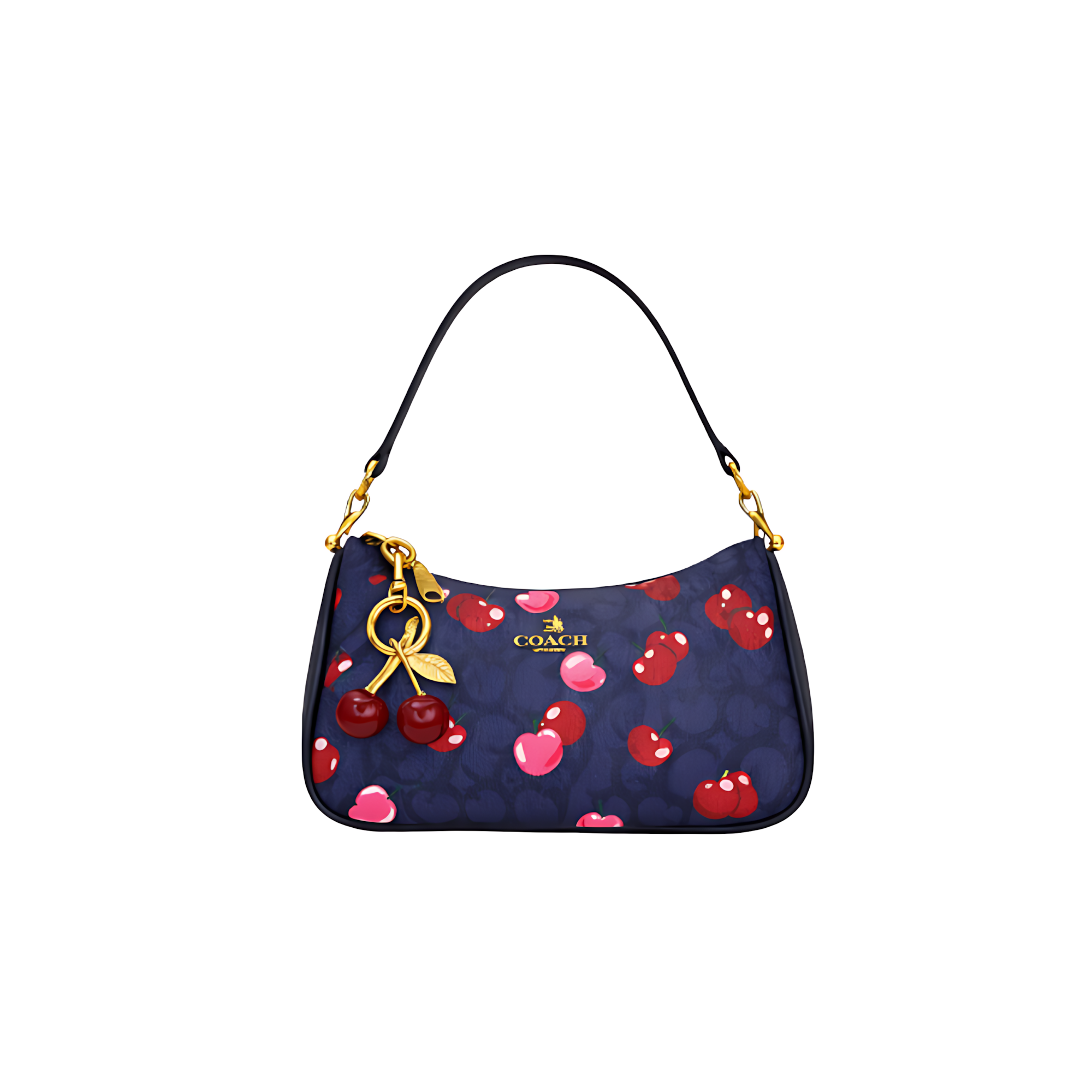 Coach Bag | Teri Shoulder Signature Canvas