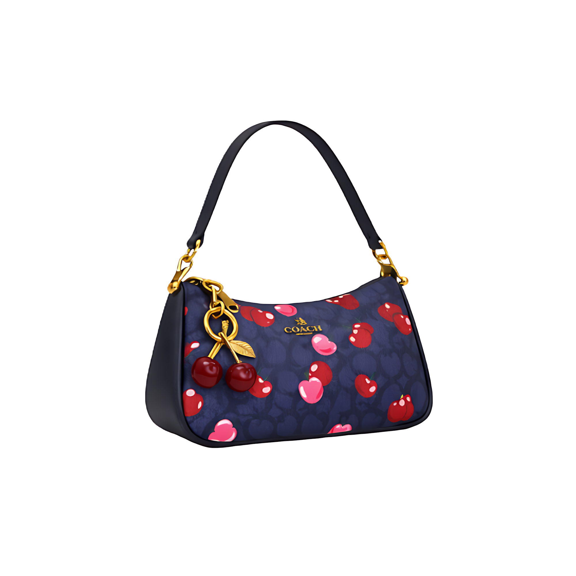 Coach Bag | Teri Shoulder Signature Canvas