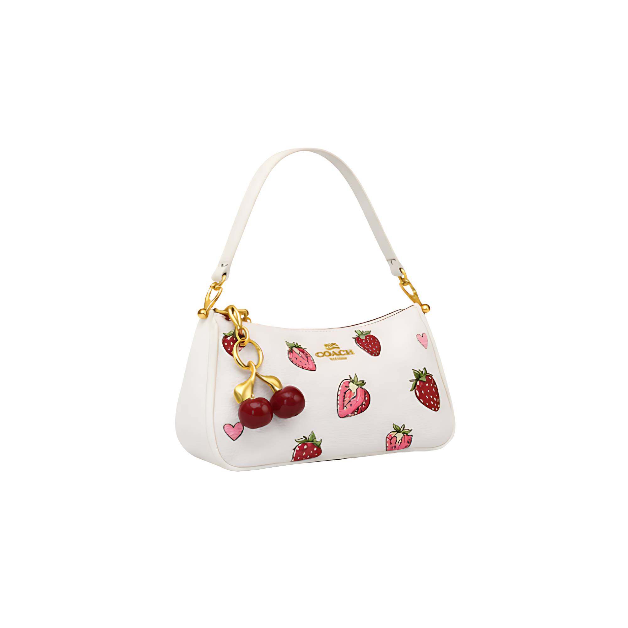 Coach Bag | Teri Shoulder Signature Canvas