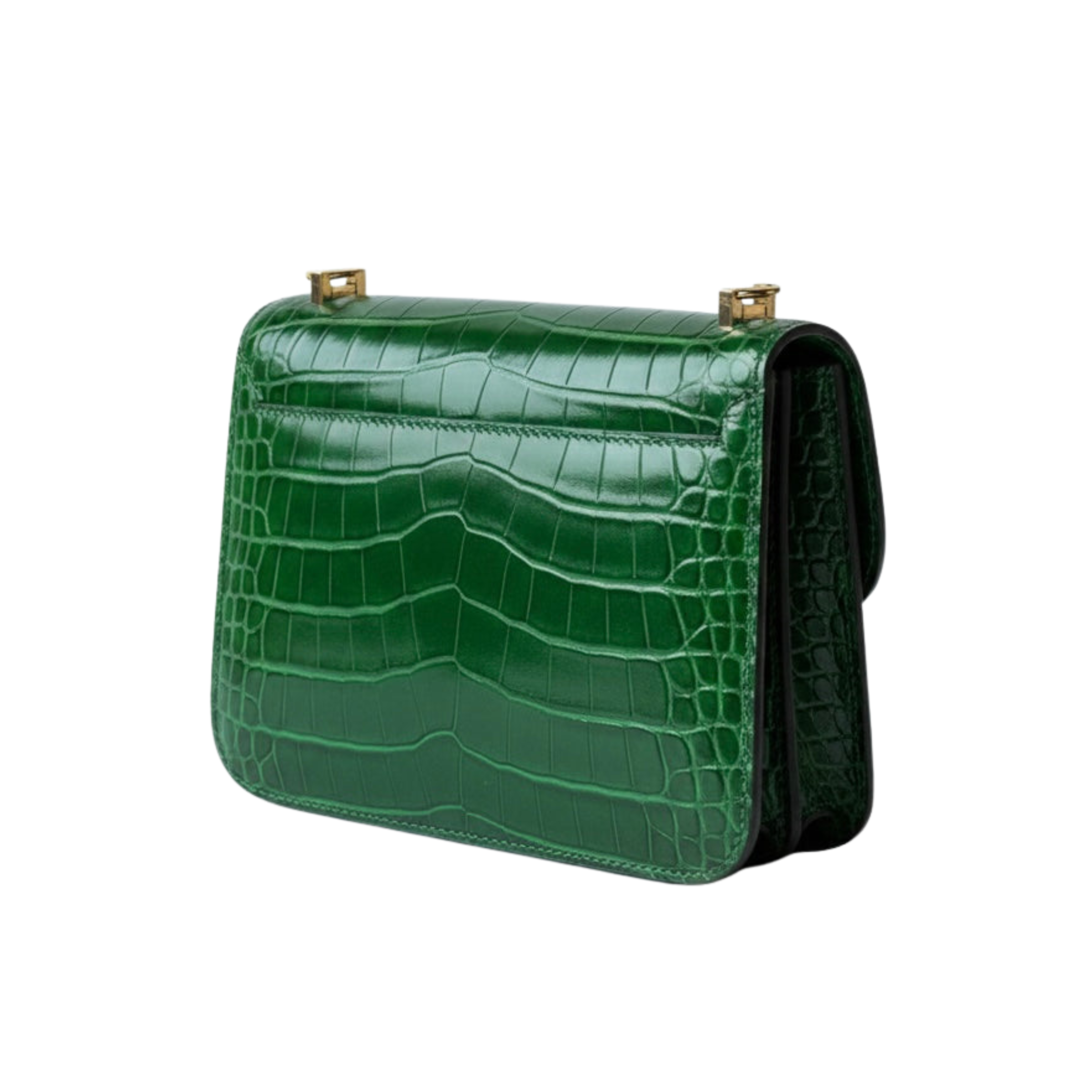 Hermès Bag | Constance 18 Cactus Alligator