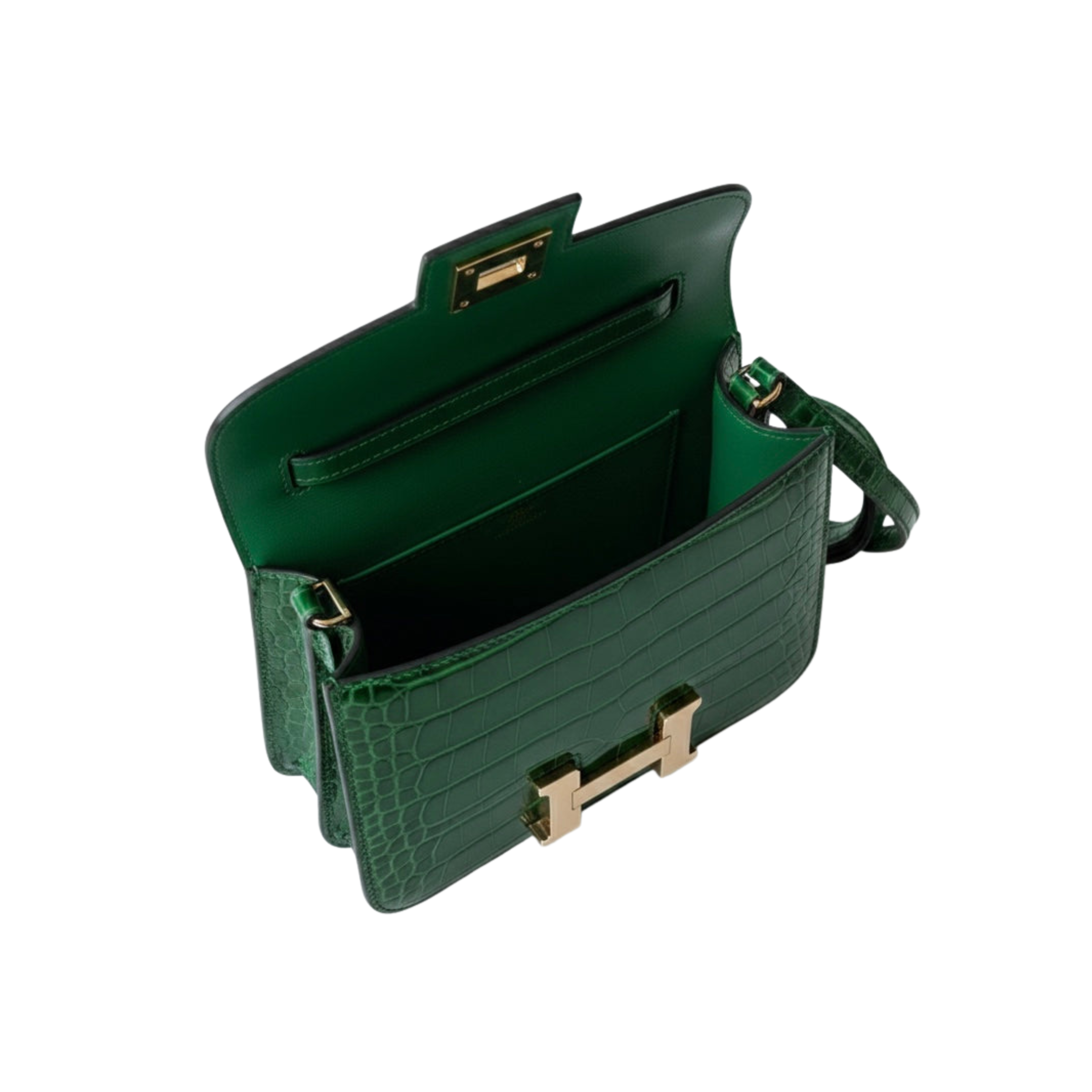 Hermès Bag | Constance 18 Cactus Alligator