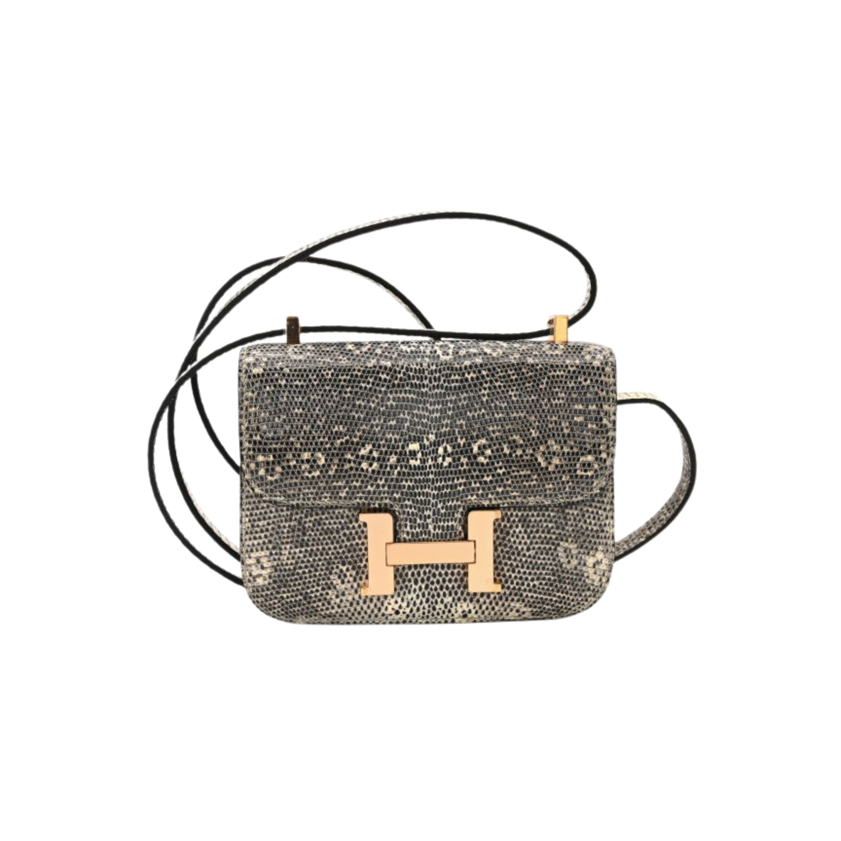Hermès Bag | Constance 18 Ombré Lizard