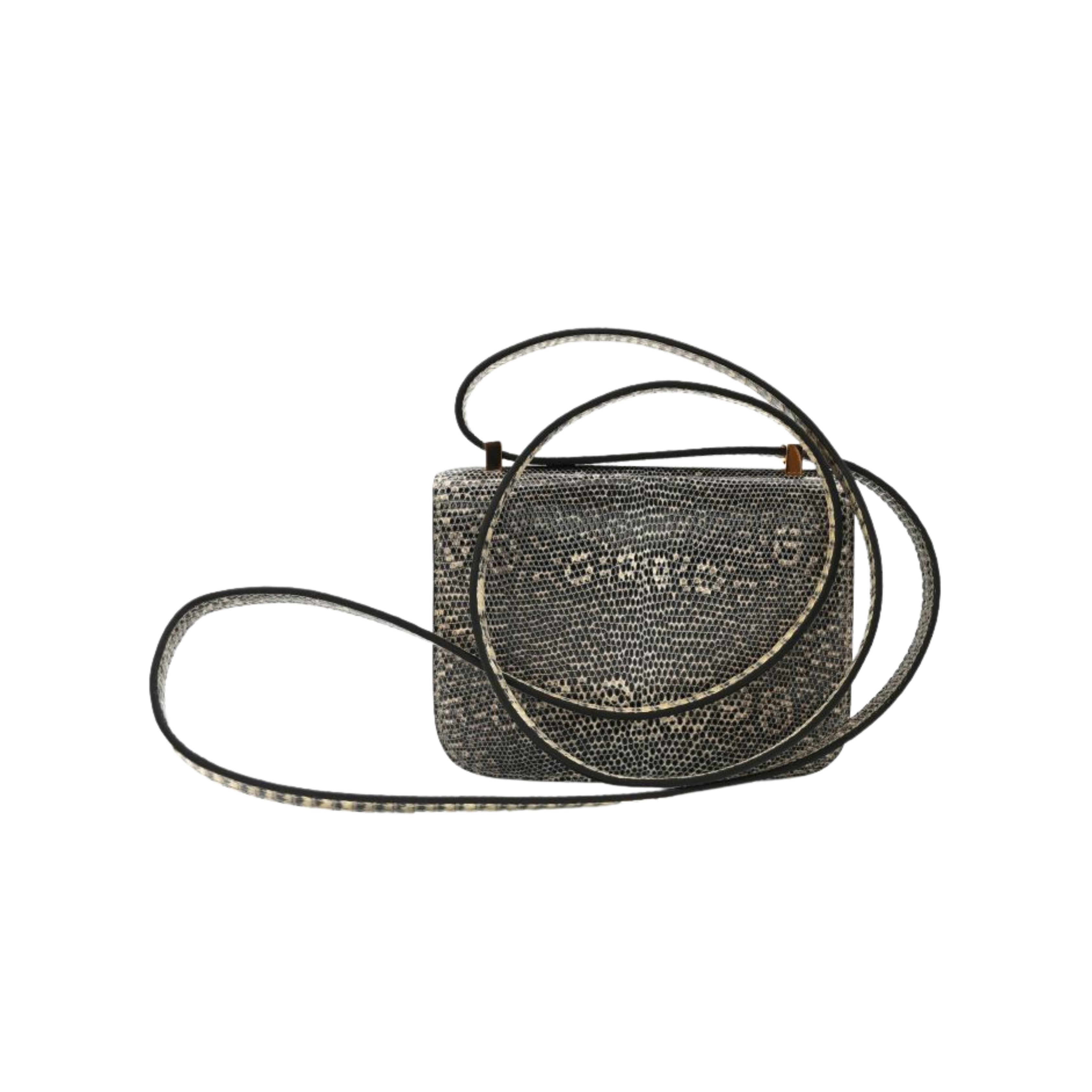 Hermès Bag | Constance 18 Ombré Lizard