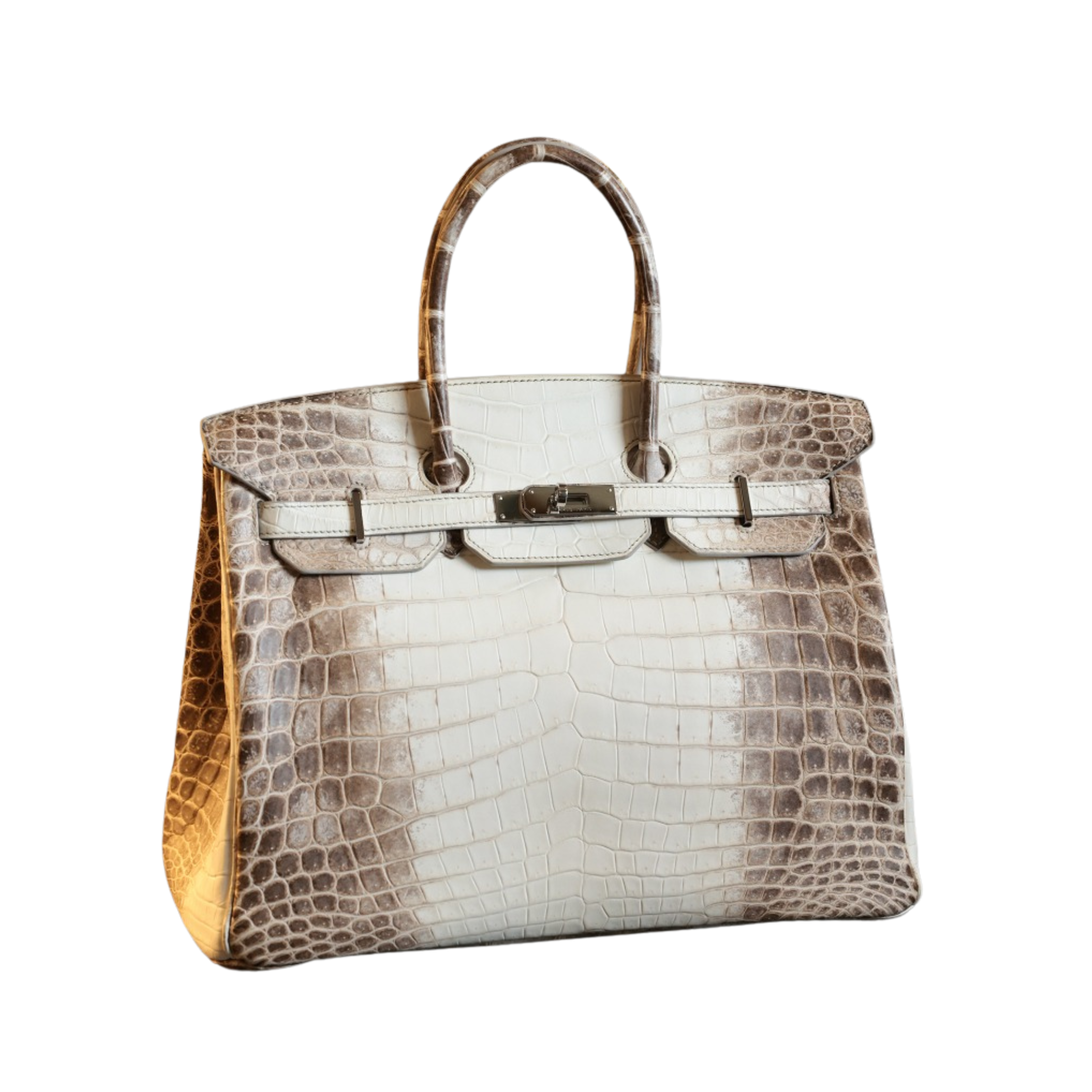 Hermès Bag | Himalaya Birkin Matte White