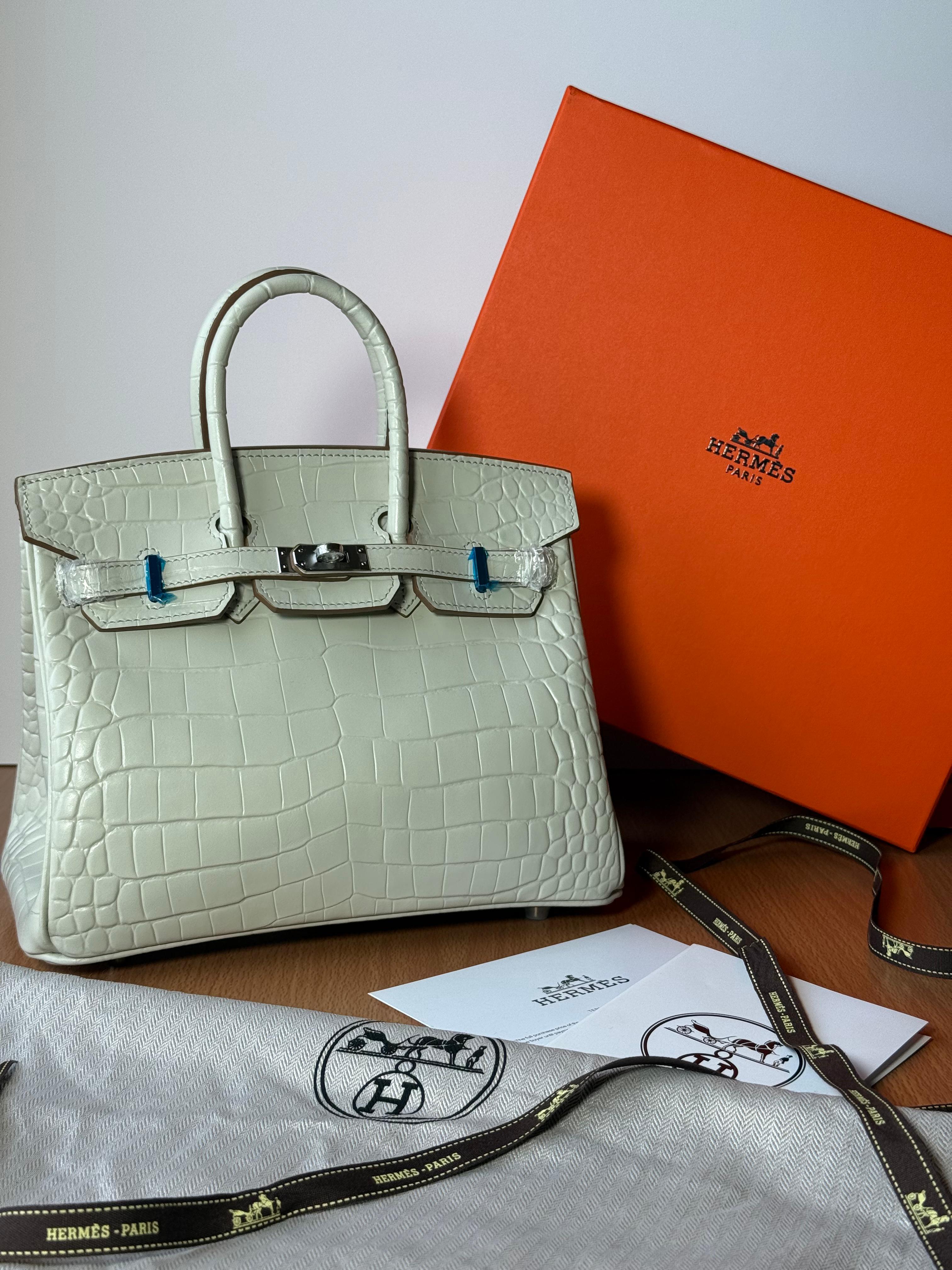 Hermès Bag | Exclusive Piece 095