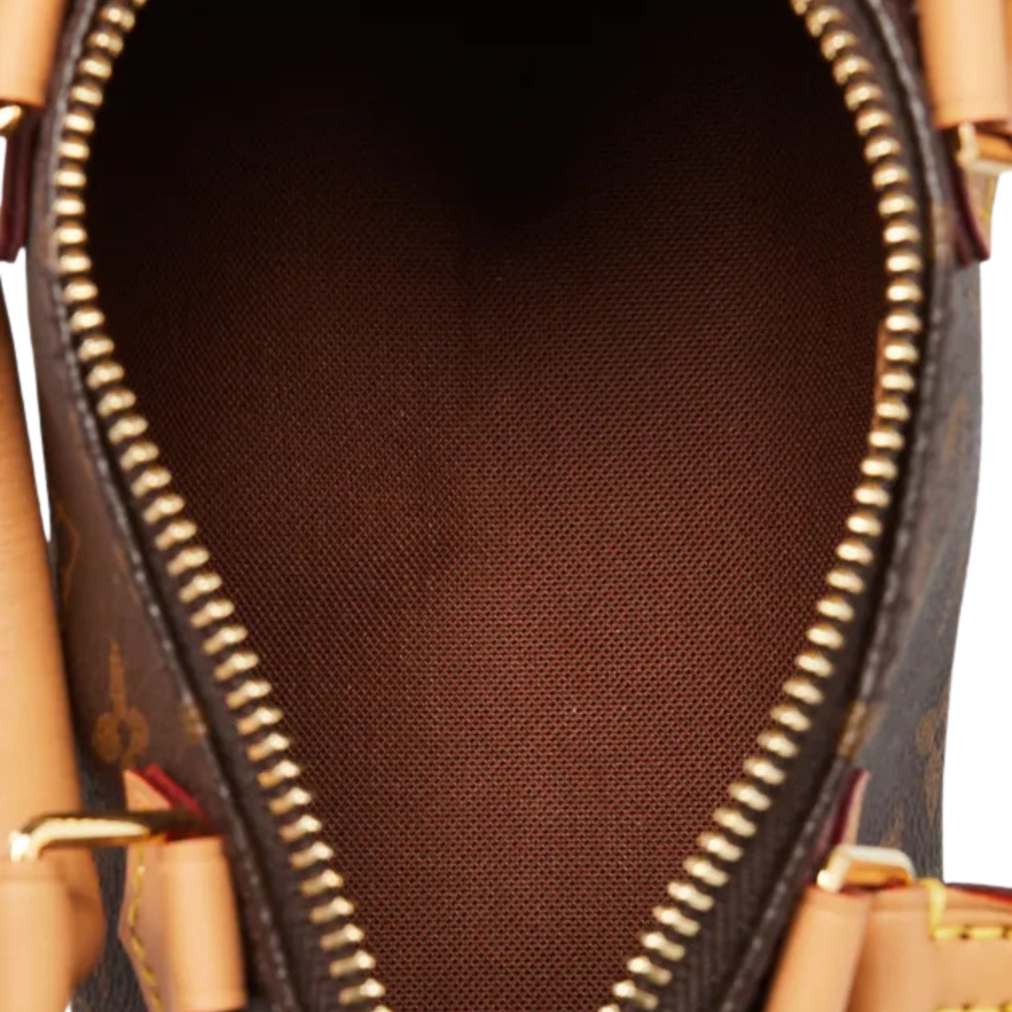 Louis Vuitton Bag | Nano Speedy Monogram