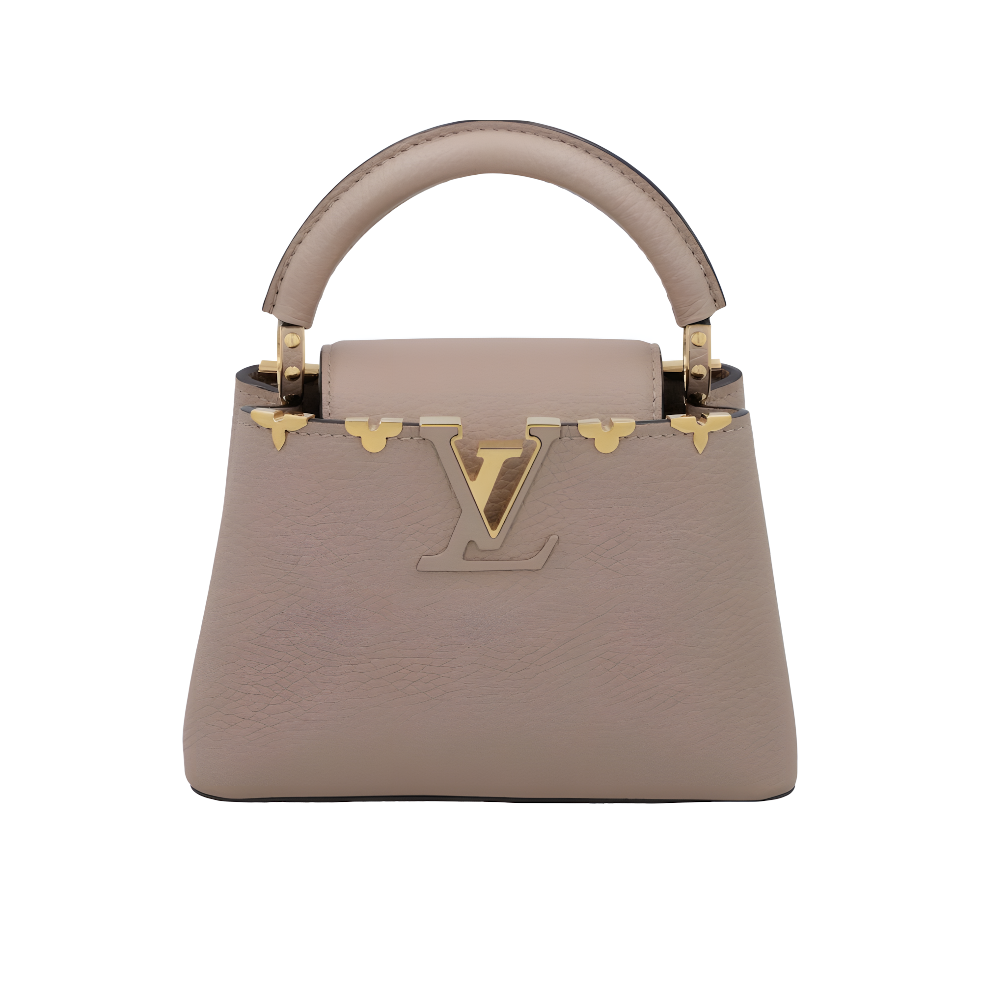 Louis Vuitton Bag | Capucines Gray
