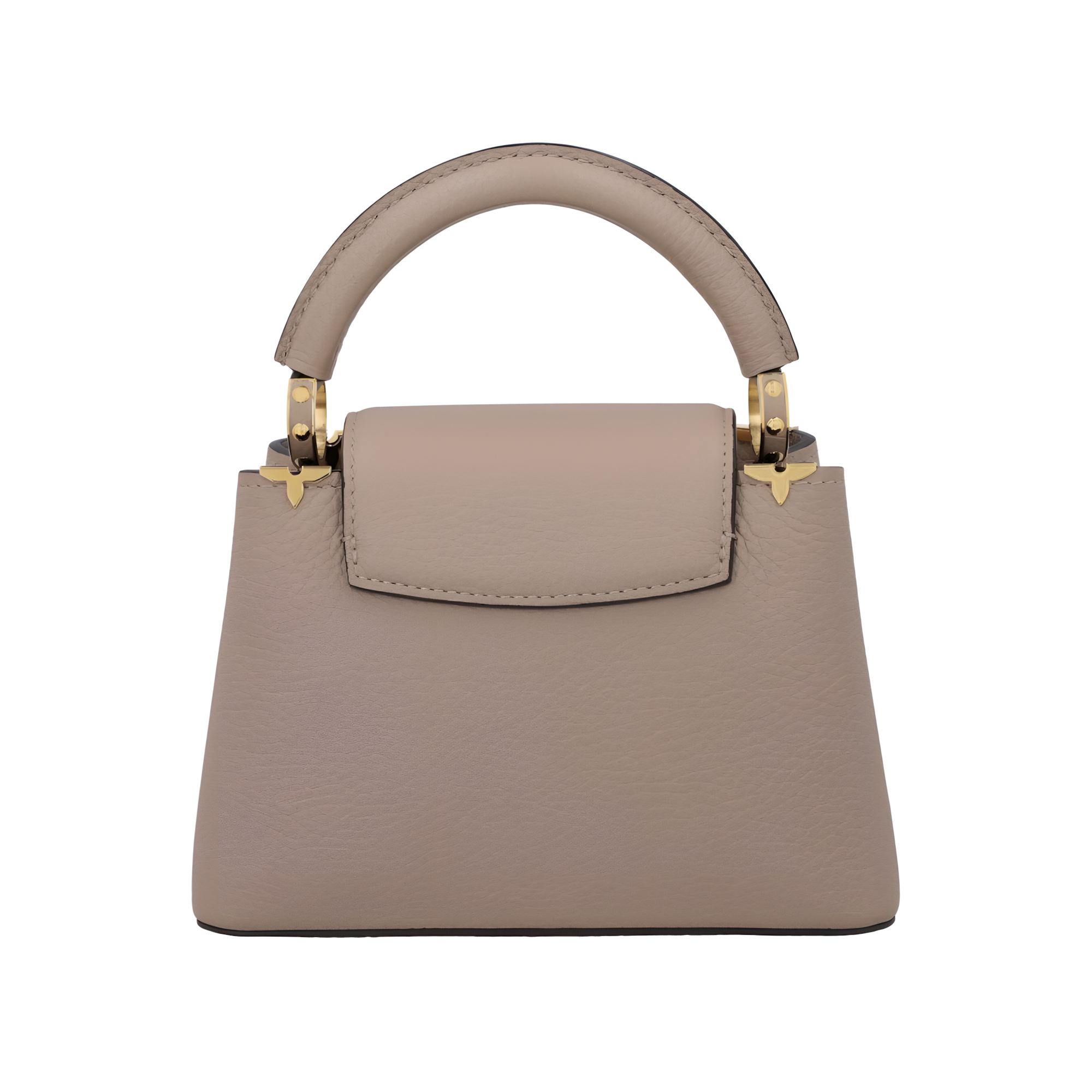 Louis Vuitton Bag | Capucines Gray