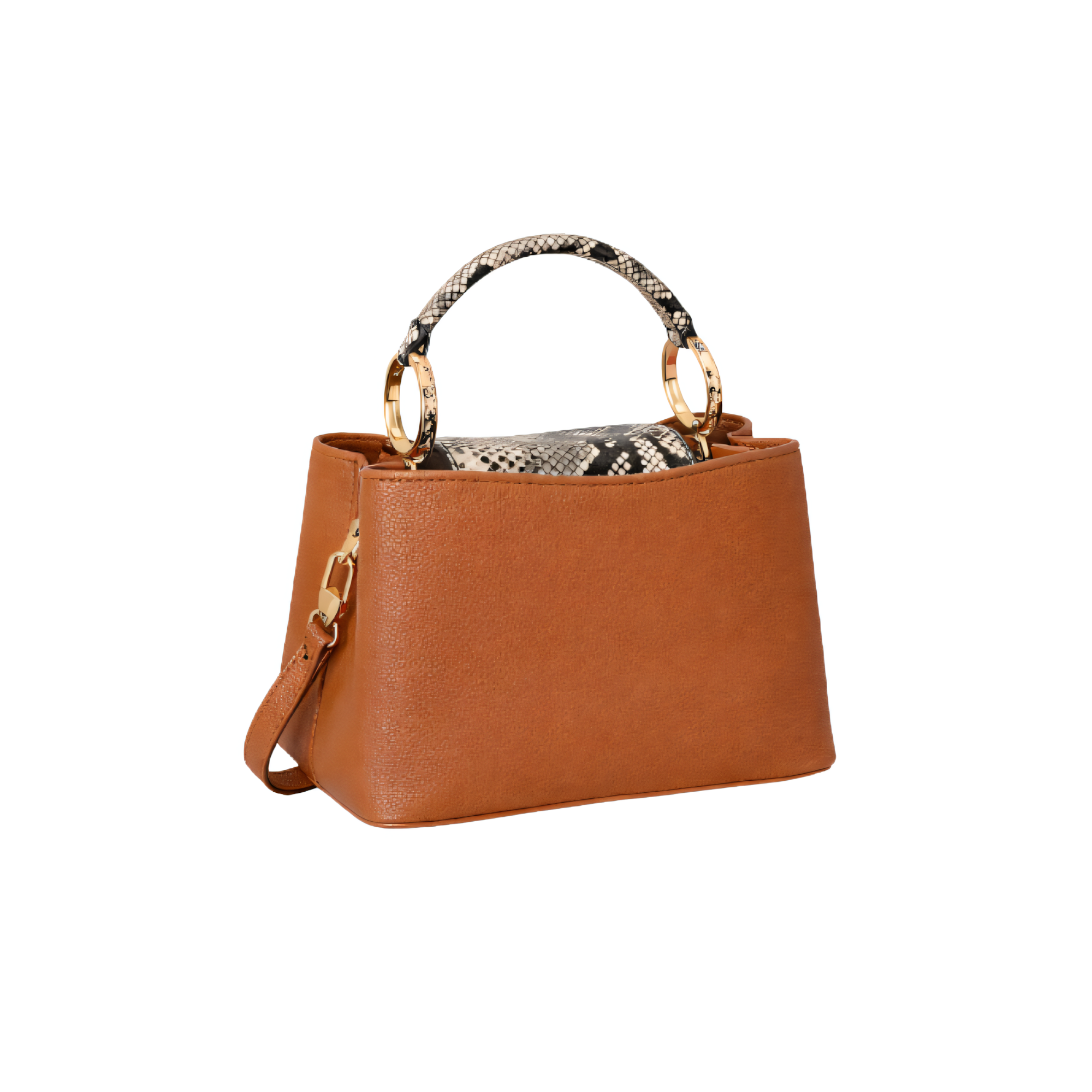 Louis Vuitton Bag | Capucines Brown Python