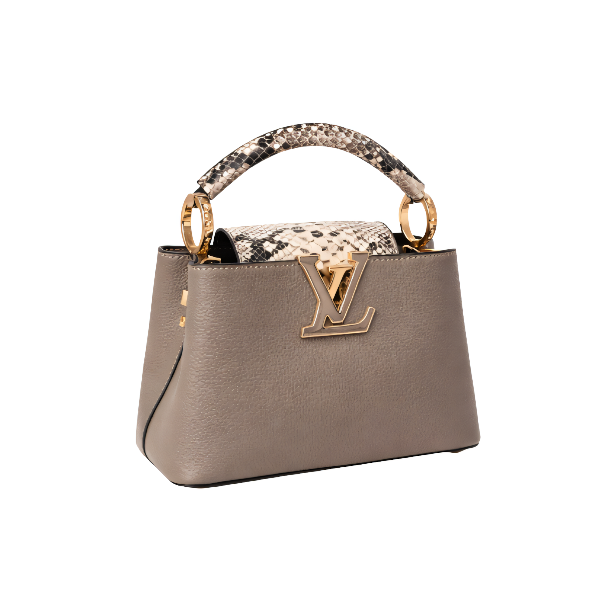 Louis Vuitton Bag | Capucines Gray Python