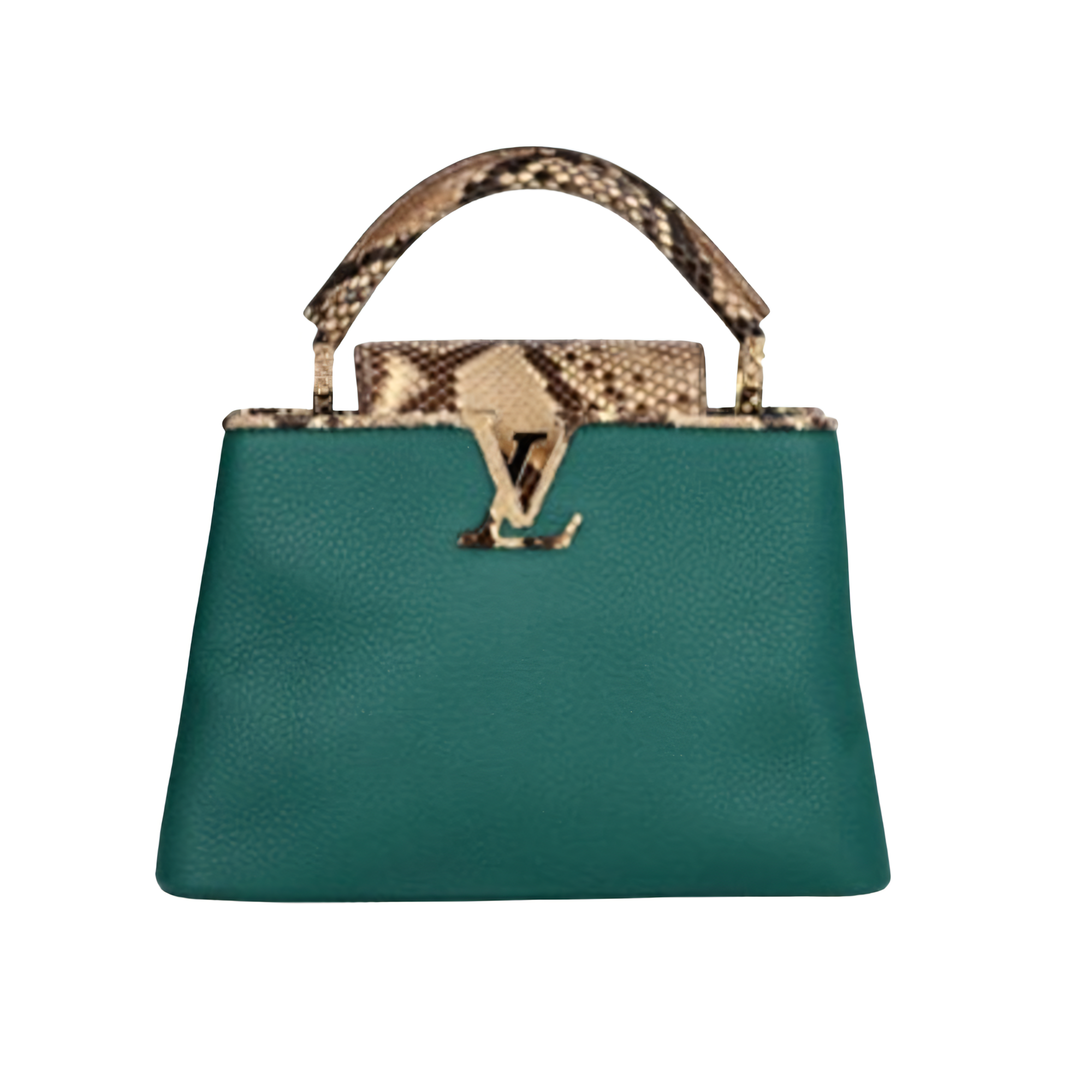 Louis Vuitton Bag | Capucines Green Python