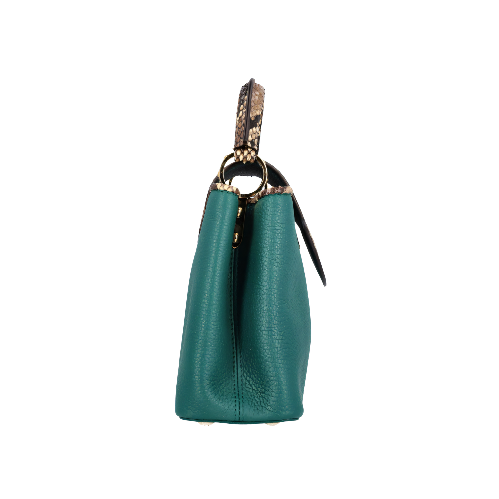 Louis Vuitton Bag | Capucines Green Python