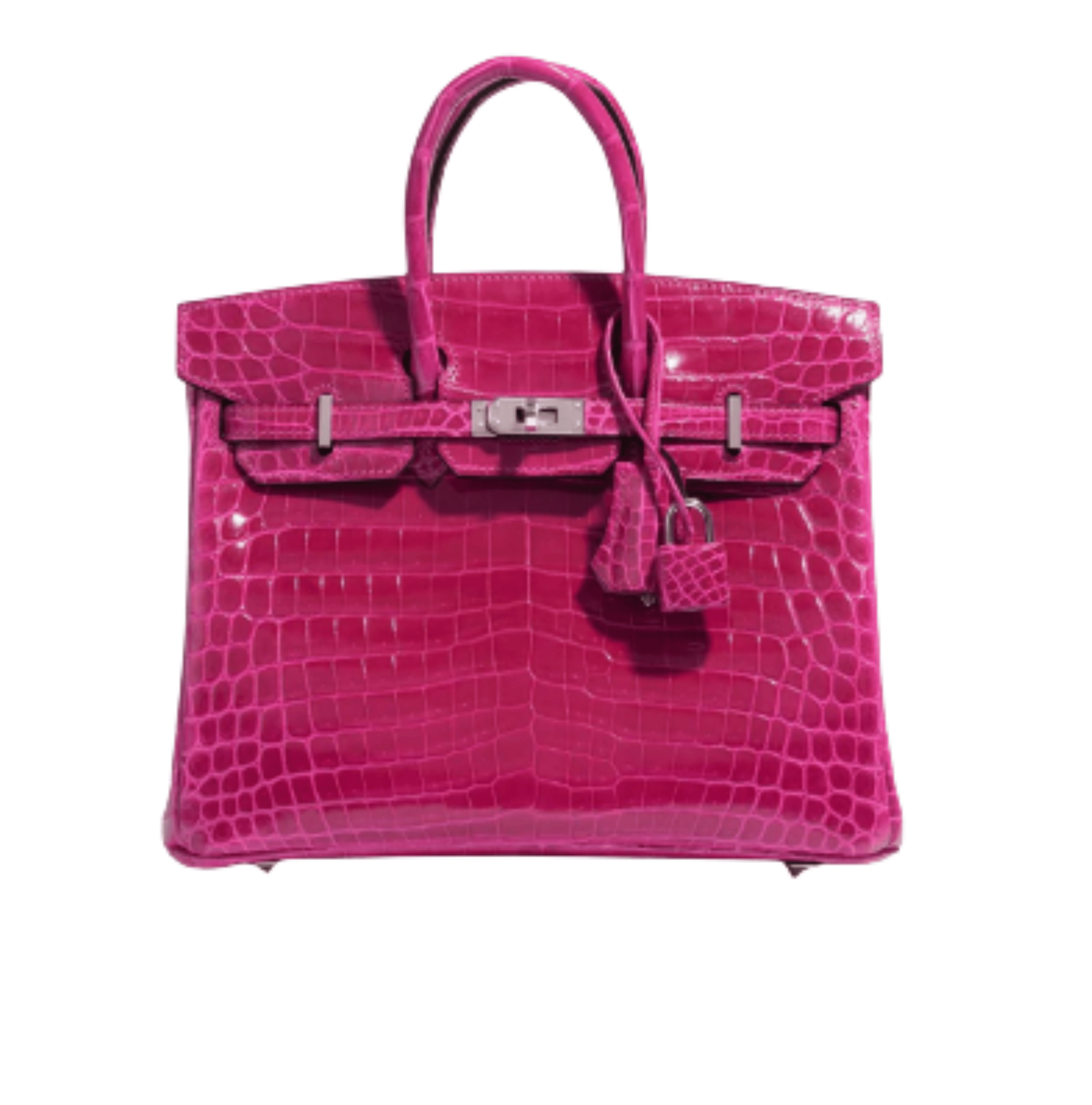 Hermès Bag | Birkin Croc