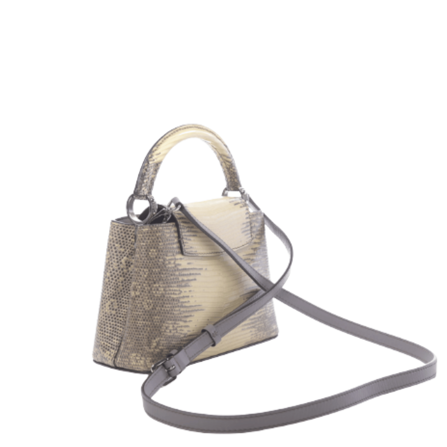 Louis Vuitton Bag | Capucines Lizard Leather