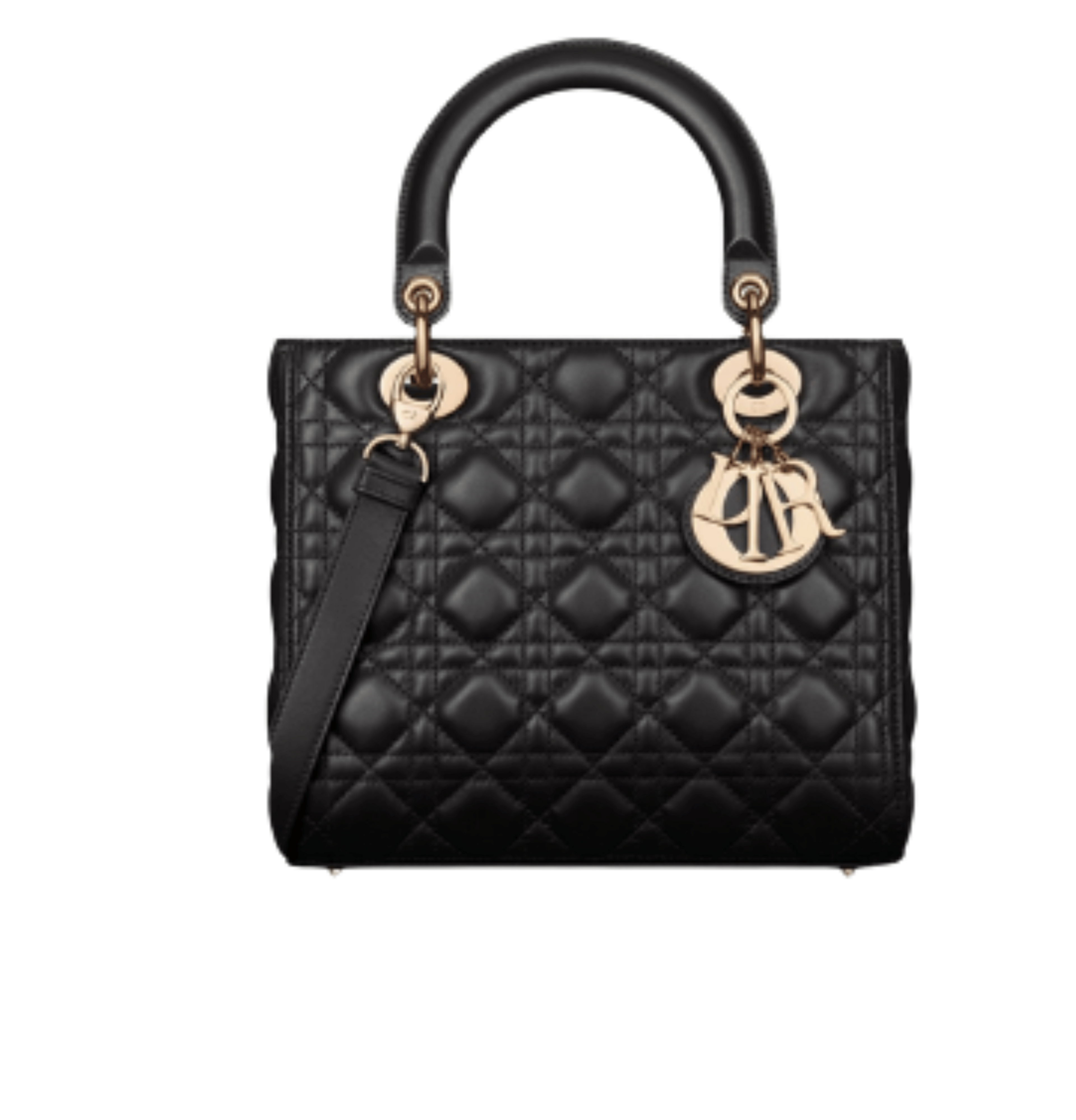 Dior Bag | My ABCDior Black/Gold