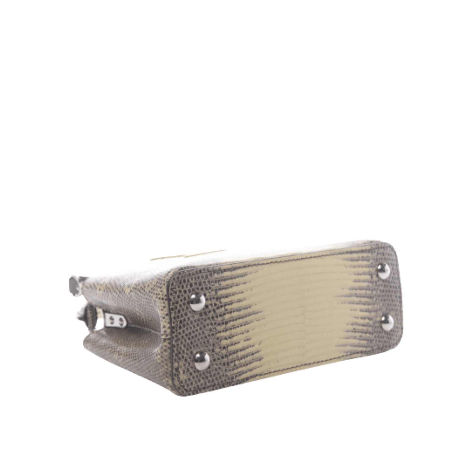 Louis Vuitton Bag | Capucines Lizard Leather