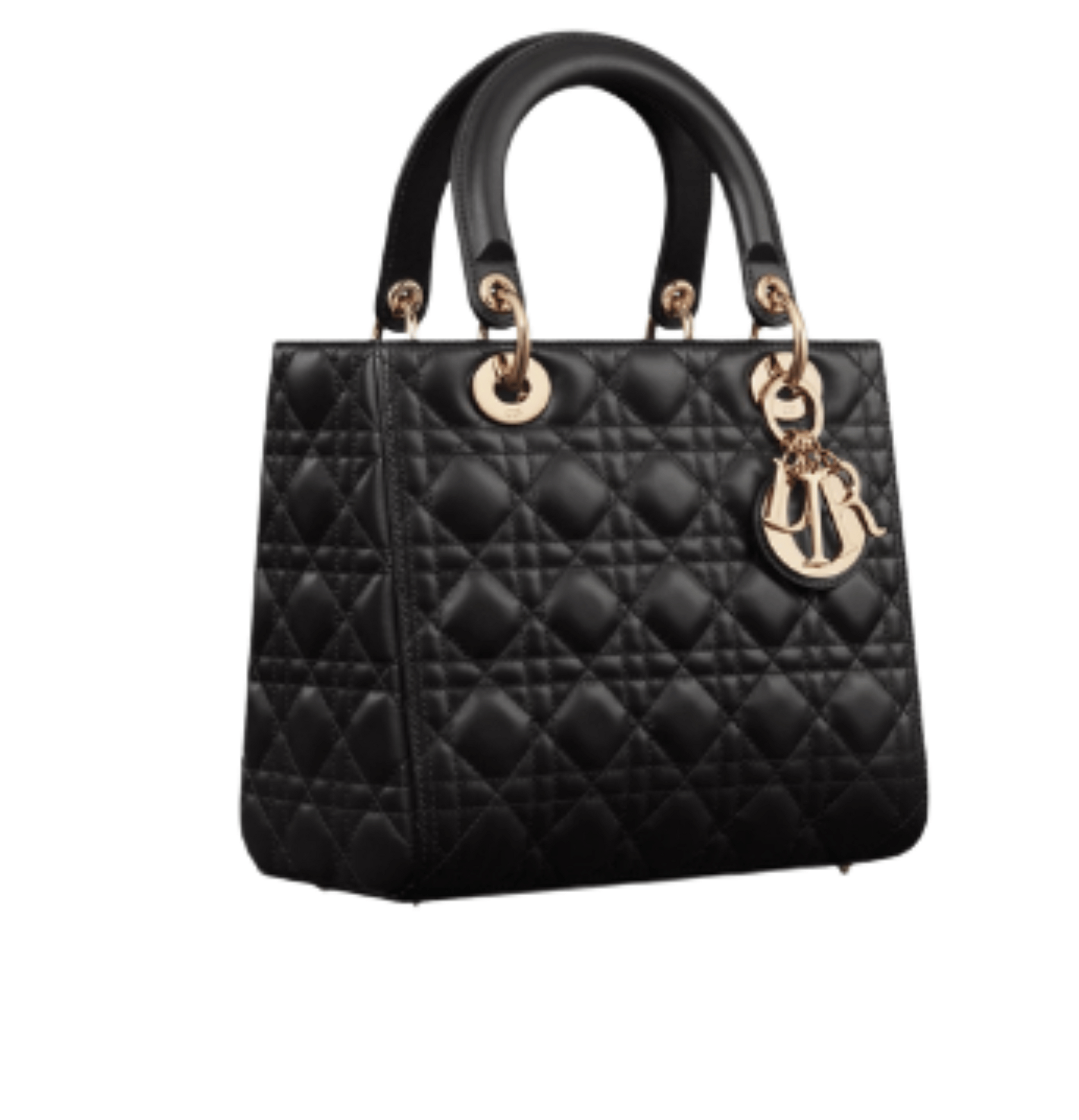 Dior Bag | My ABCDior Black/Gold