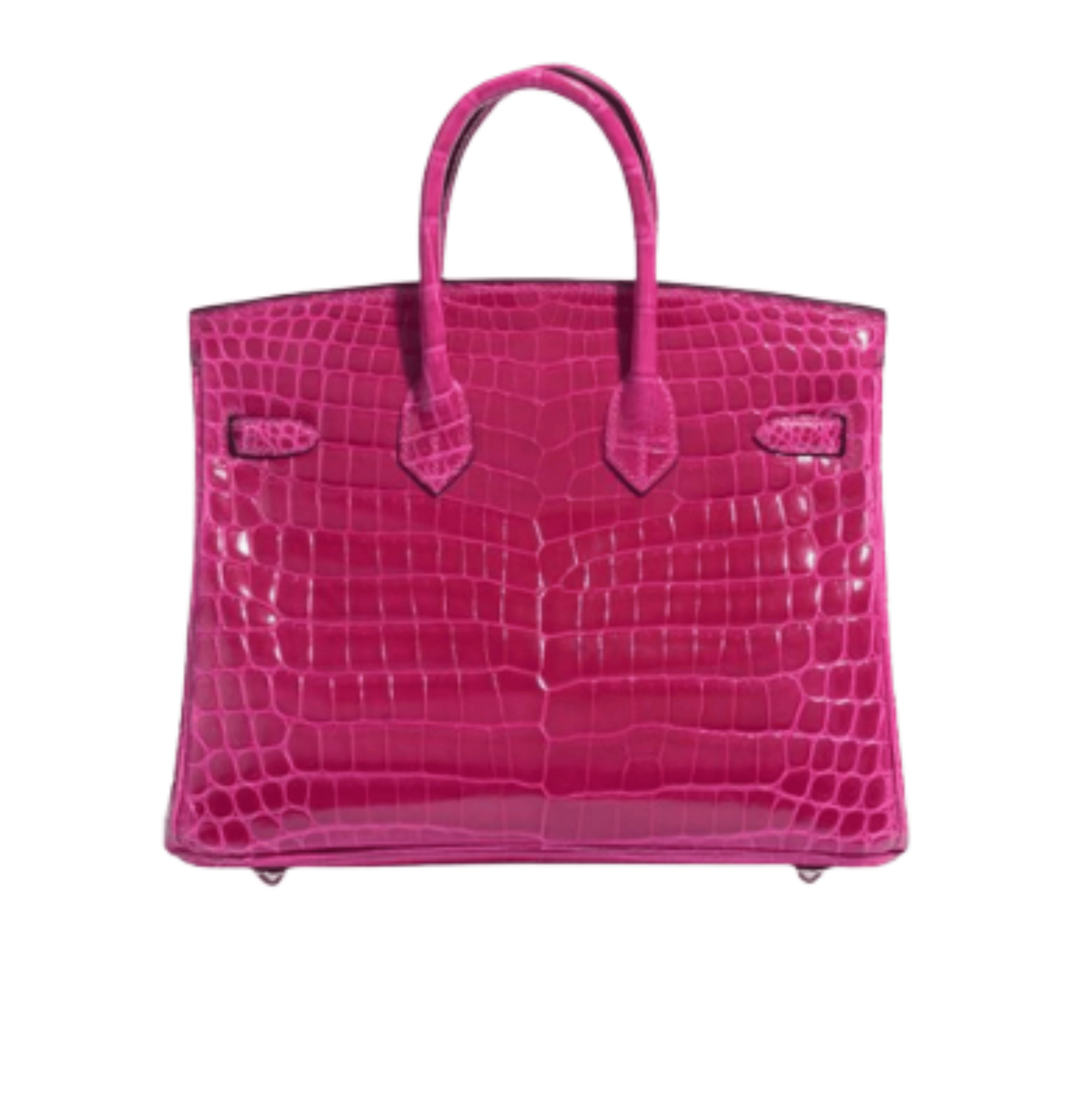 Hermès Bag | Birkin Croc