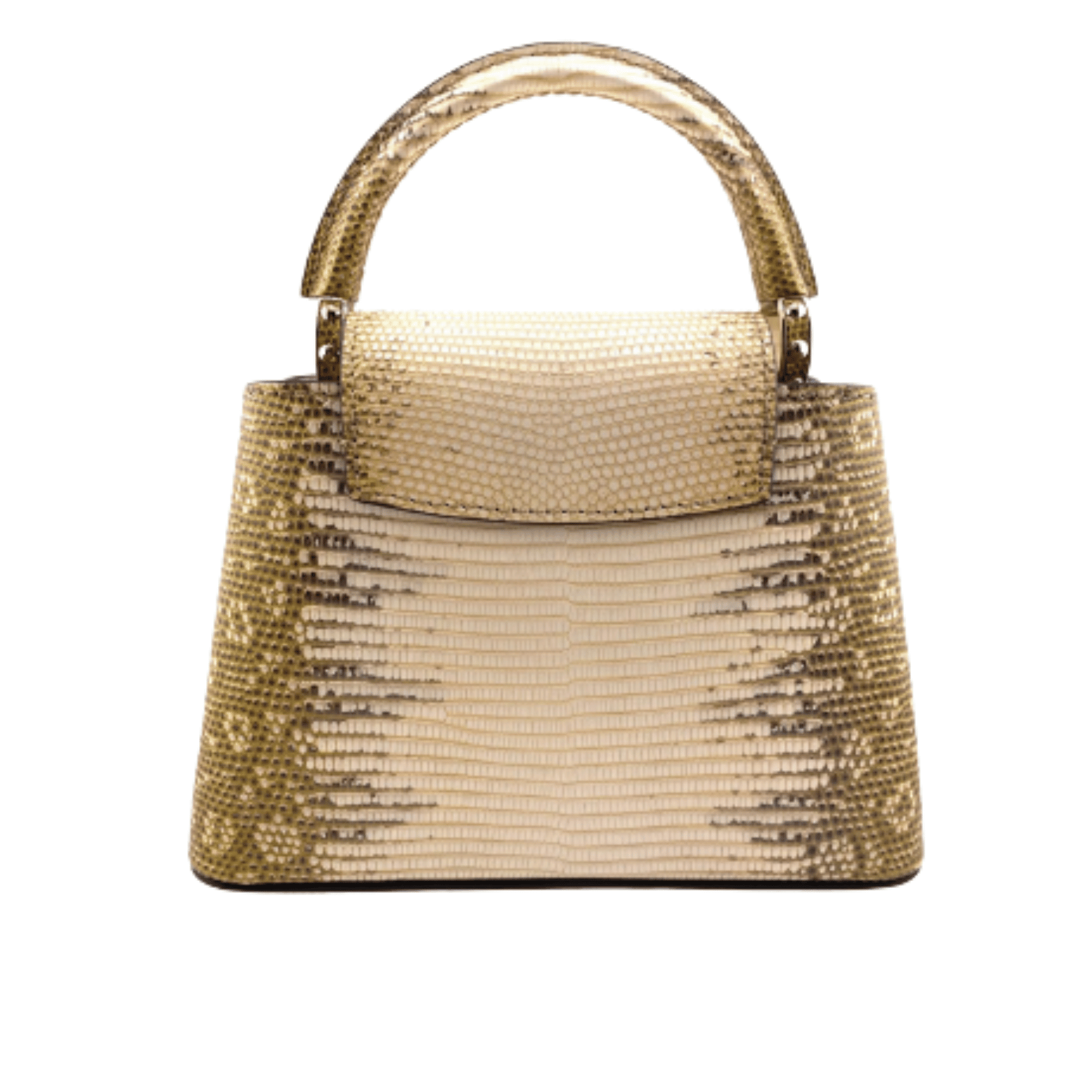 Louis Vuitton Bag | Capucines GoldSnakeskin