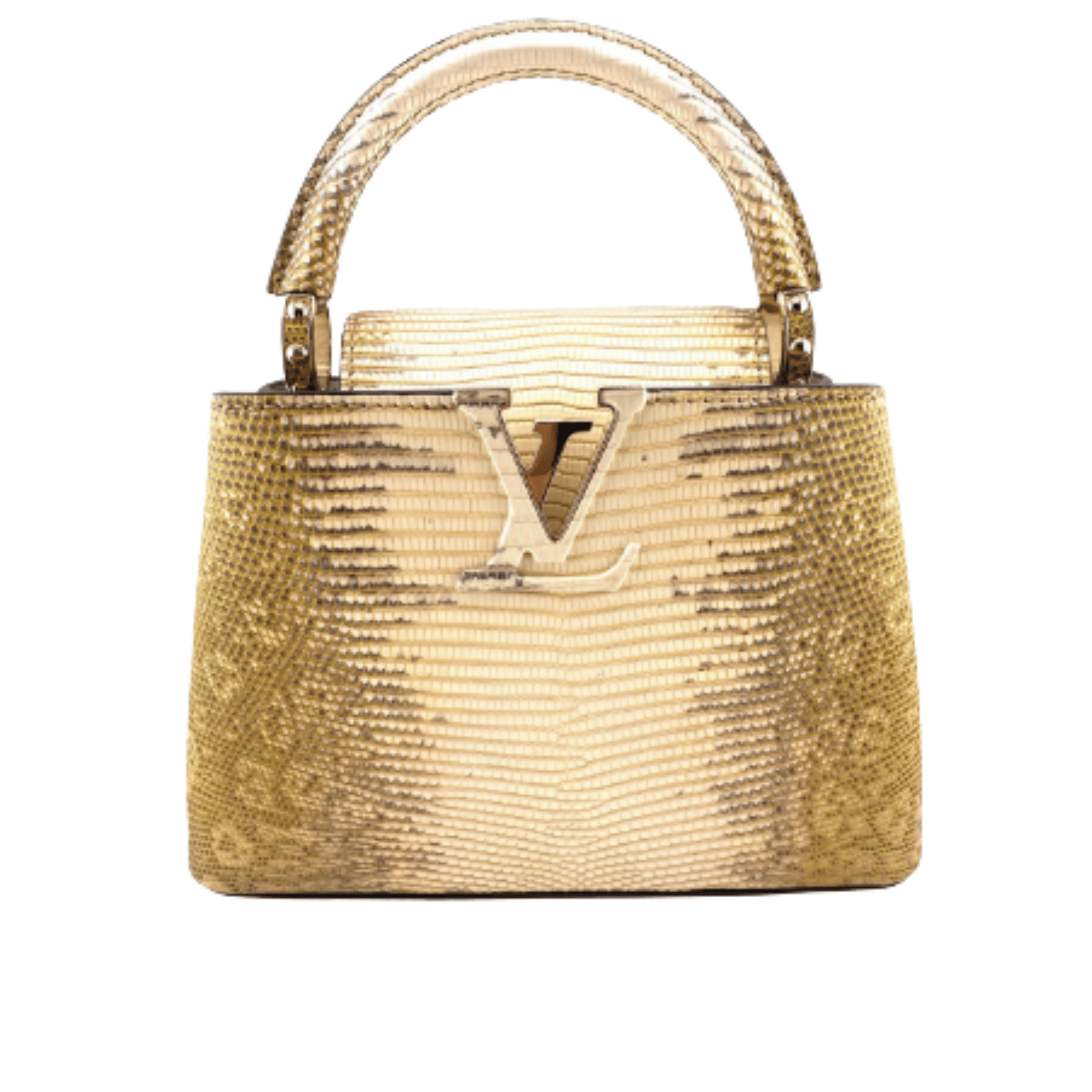 Louis Vuitton Bag | Capucines GoldSnakeskin