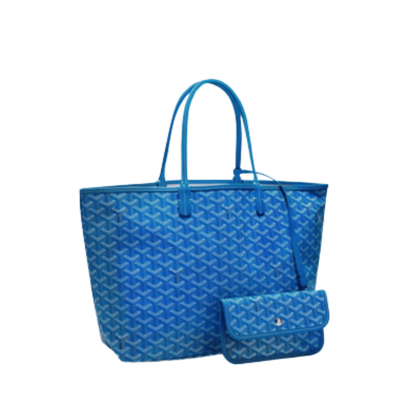 Goyard Bag | Saint Louis PM PM Sky Blue