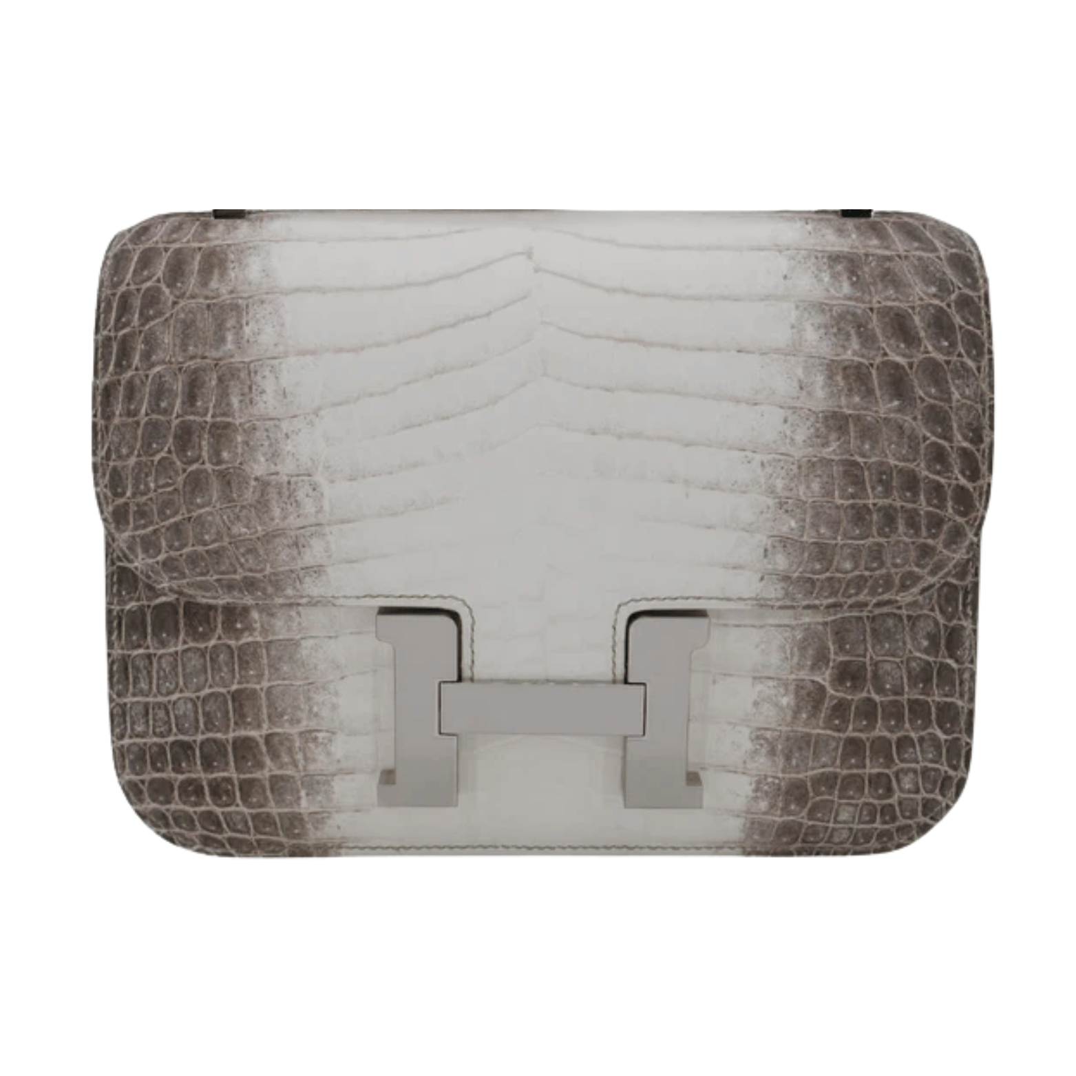 Hermès Bag | Constance Snake Croc