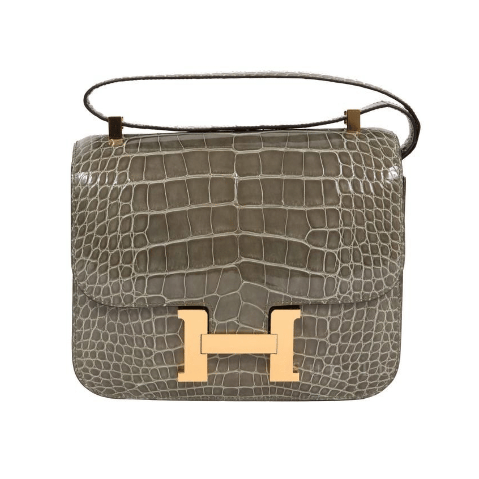 Hermès Bag | Constance Sandy Croc