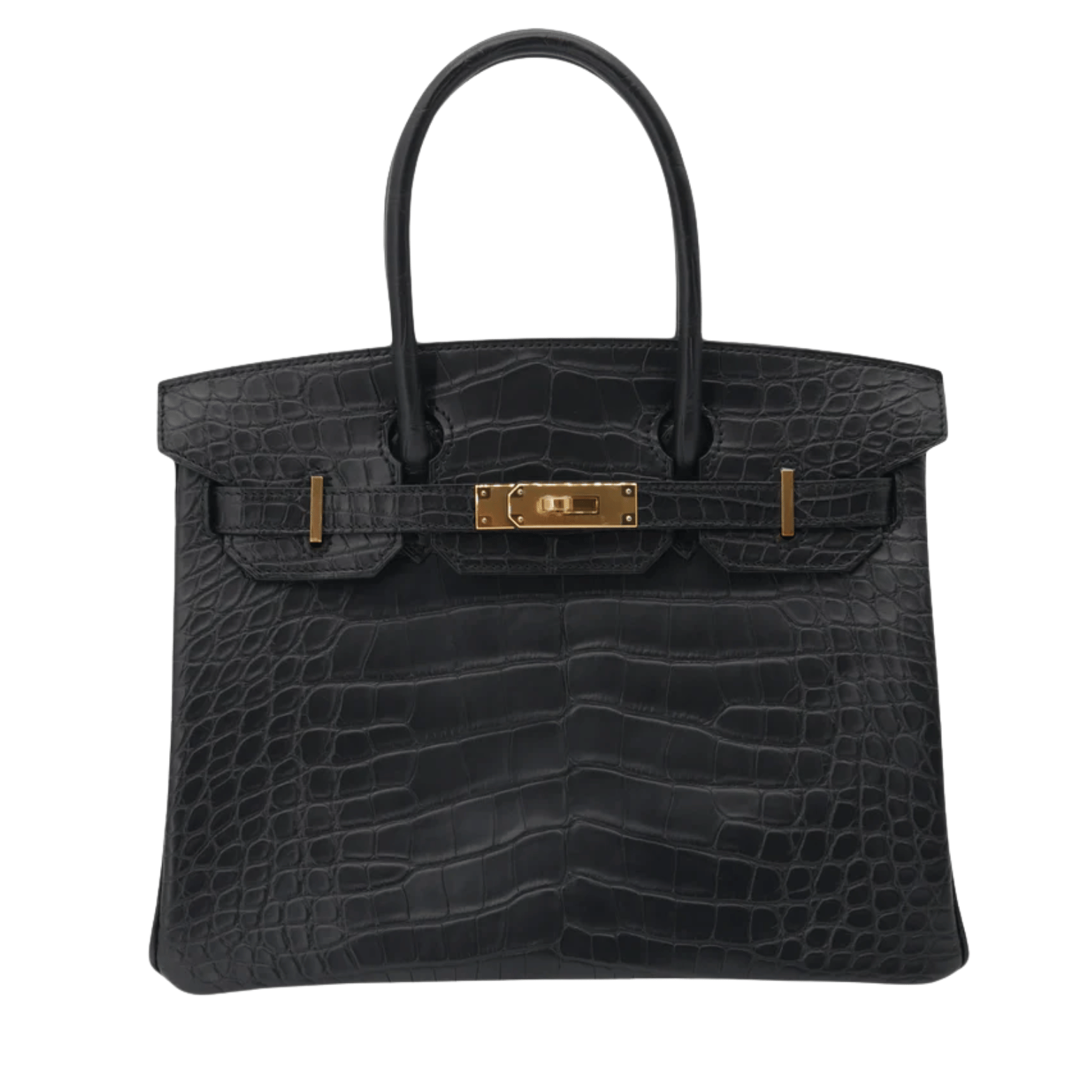 Hermès Bag | Birkin Croc