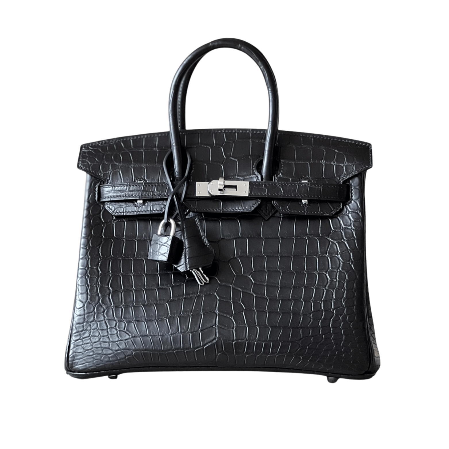 Hermès Bag | Birkin Croc