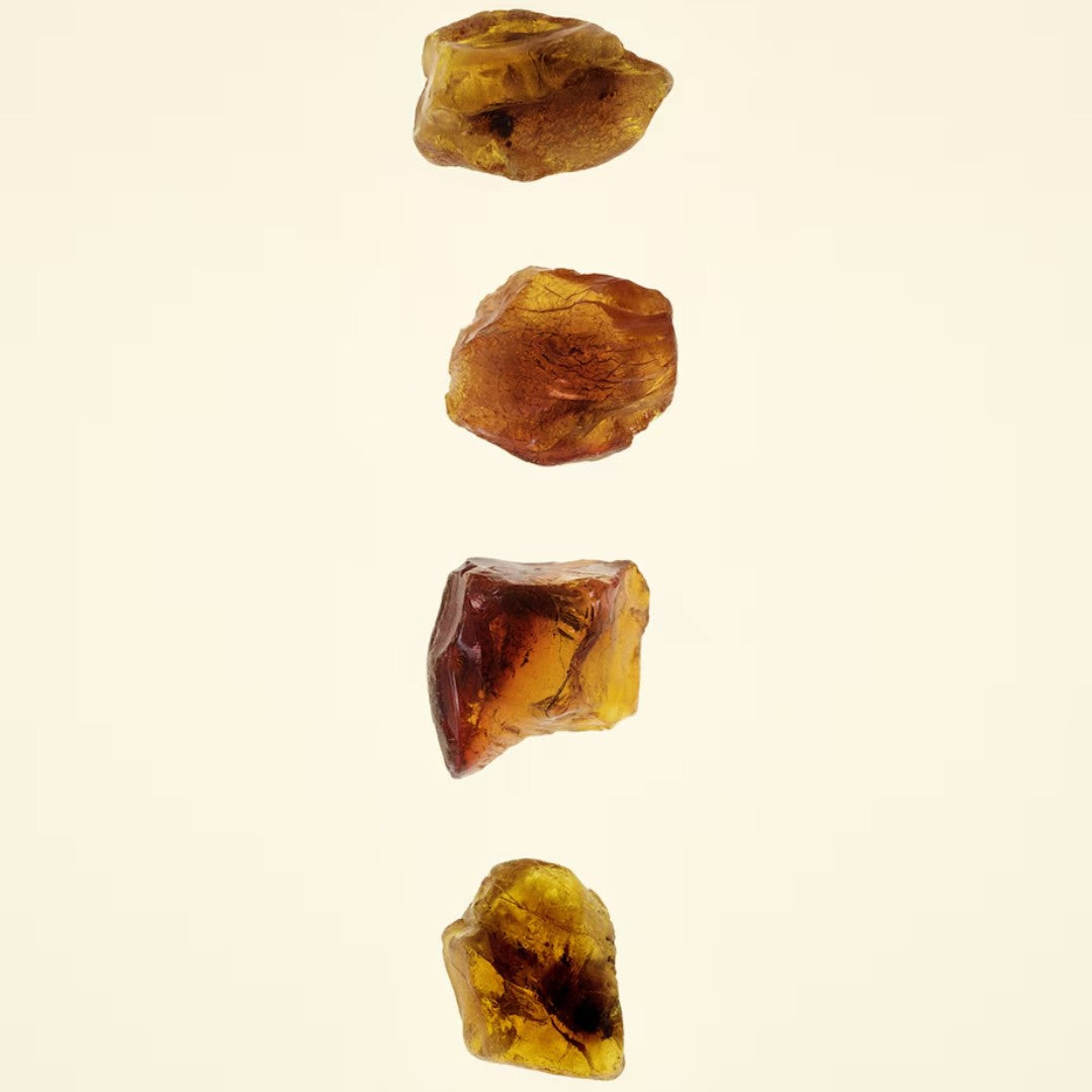 Burberry | Amber Heath Eau De Parfum 100Ml