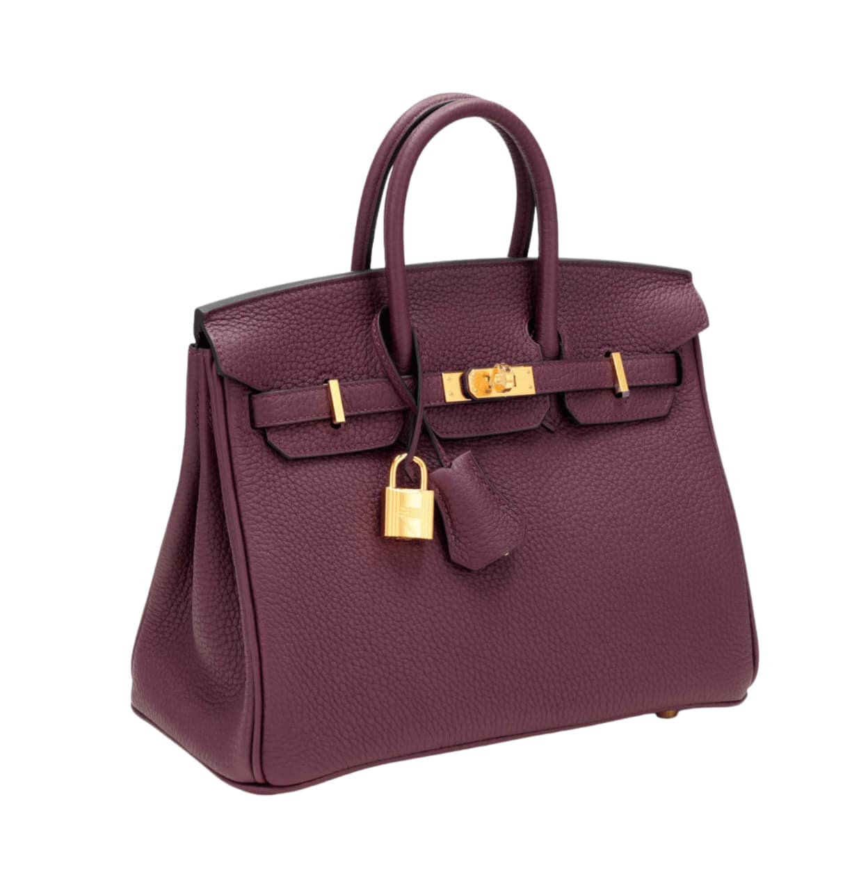 Hermès | Birkin Bag Violet Togo