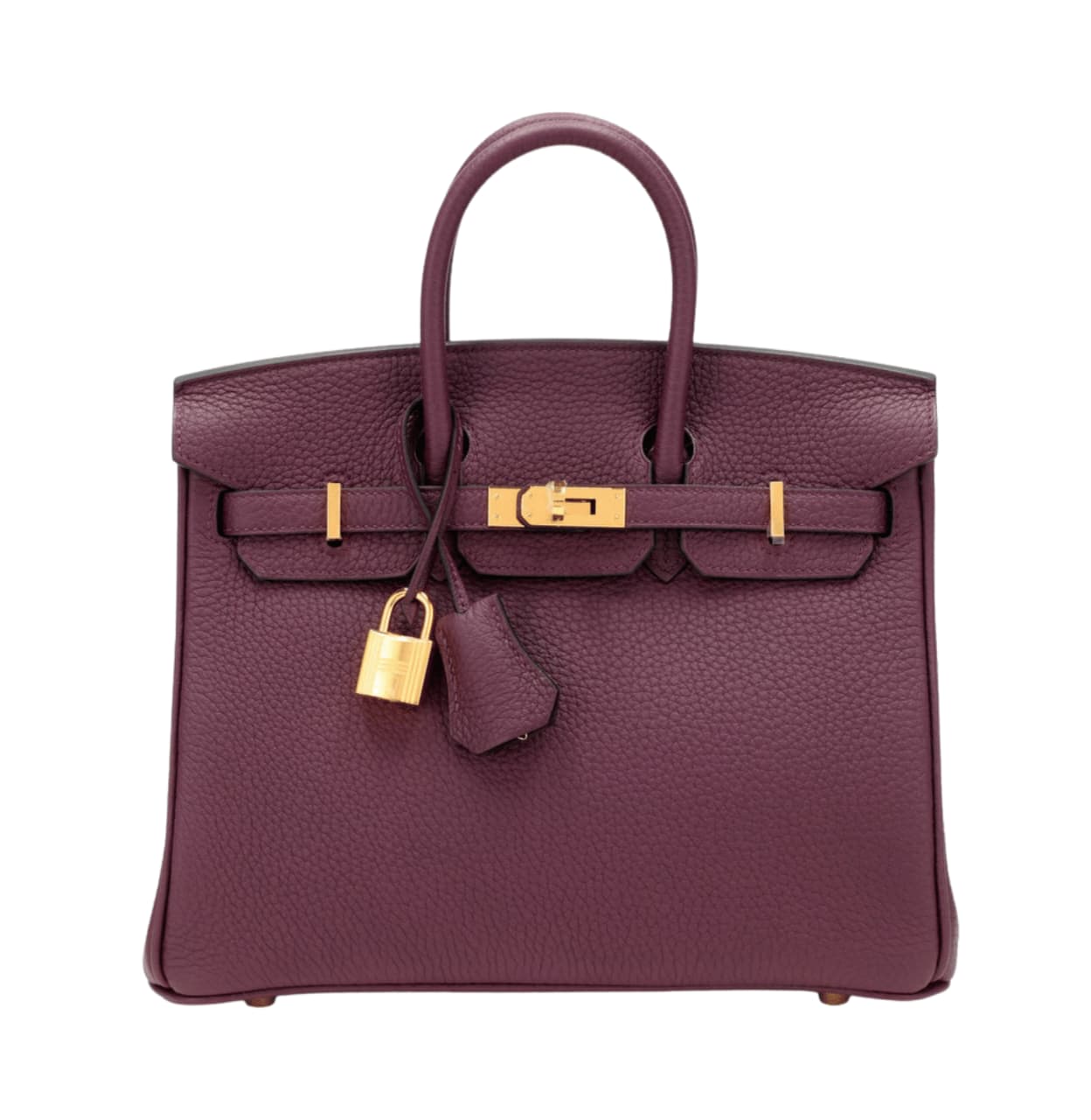 Hermès | Birkin Bag Violet Togo