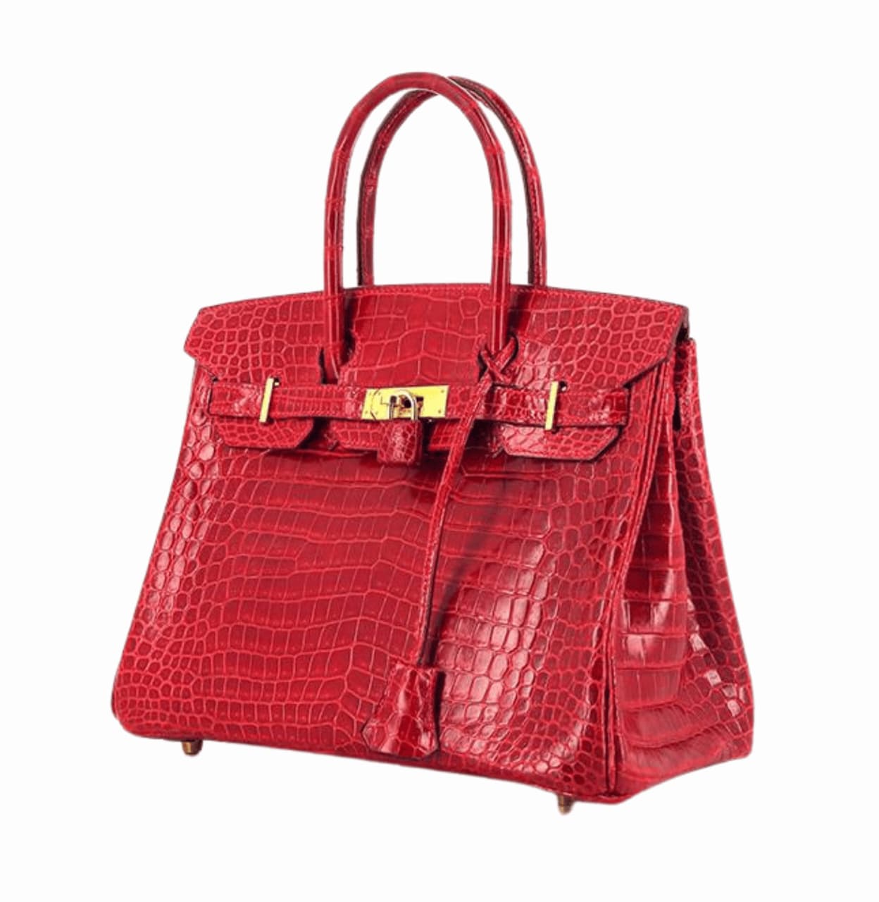 Hermès Bag | Birkin Croc