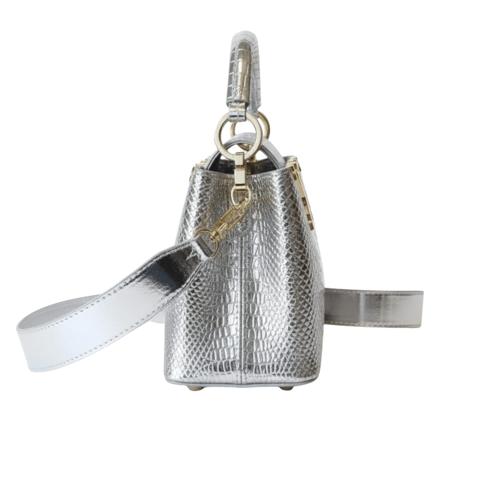 Louis Vuitton Bag | Capucines Silver Calfskin Leather